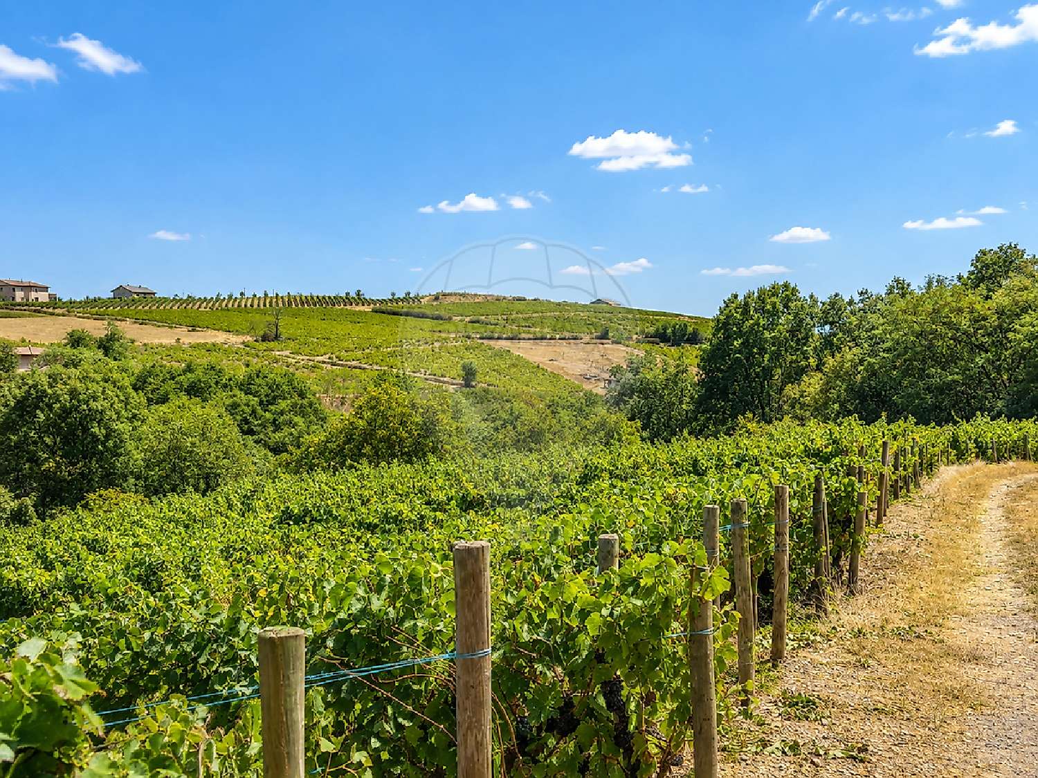  te koop huis Lantignié Rhône 7