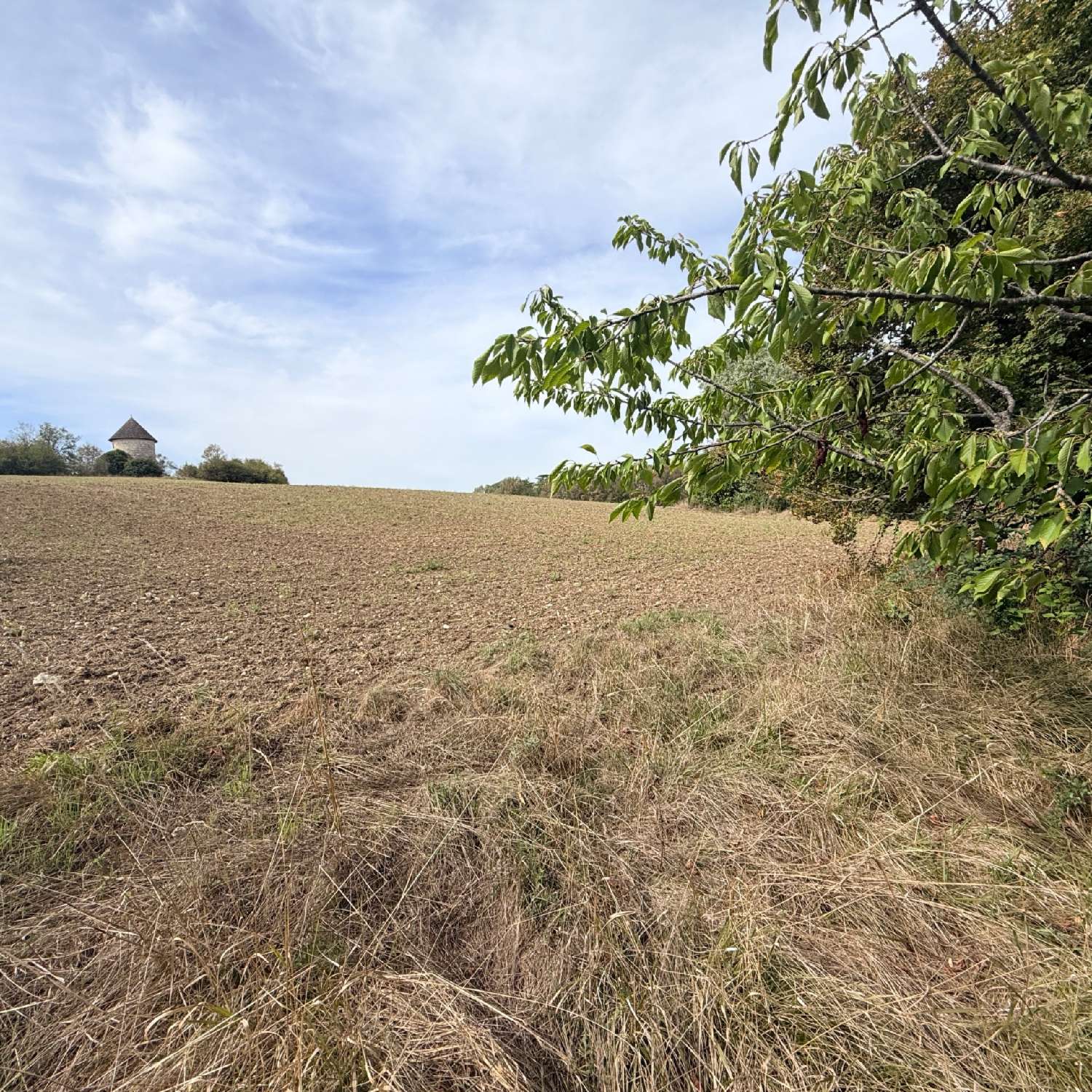  à vendre maison Laplume Lot-et-Garonne 3