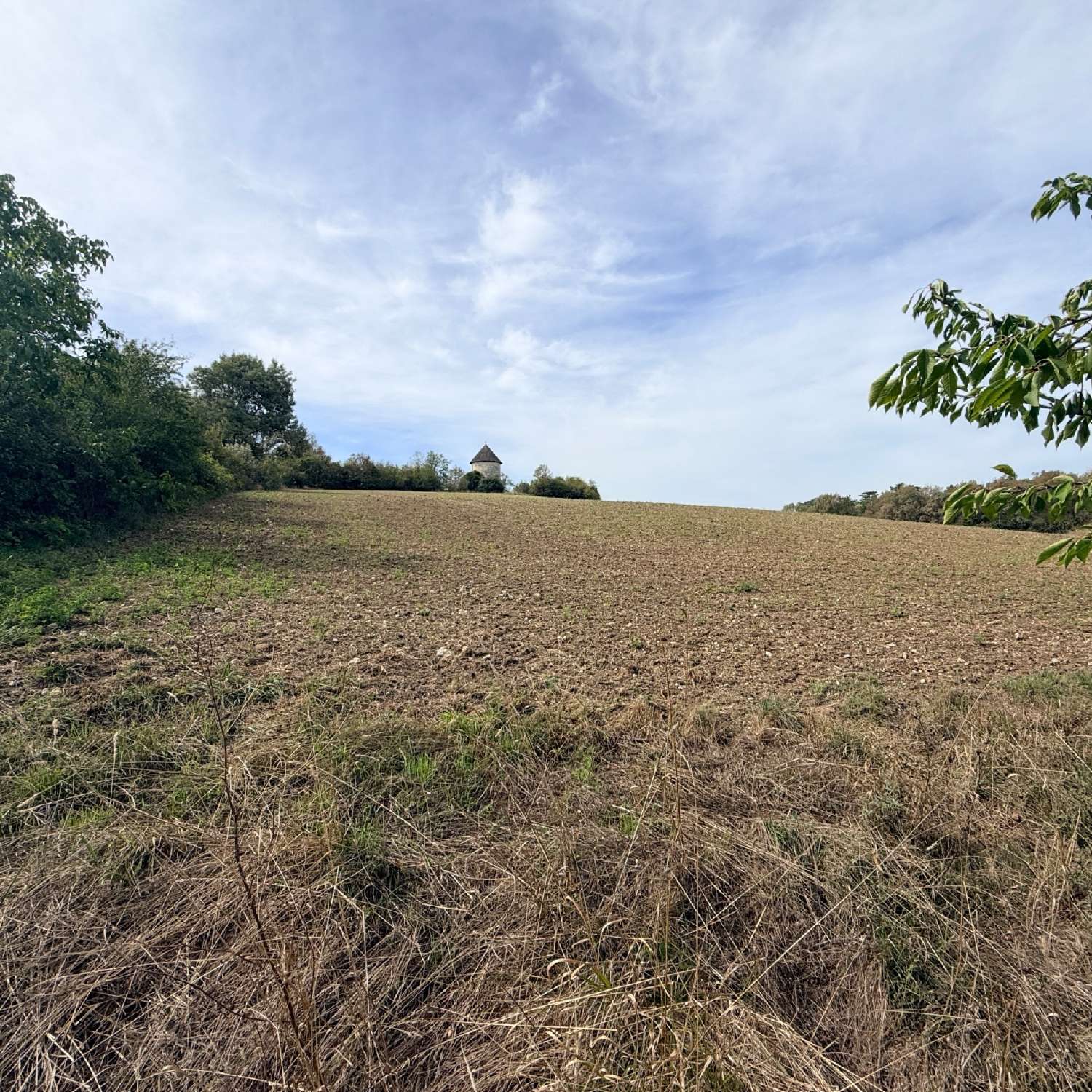  à vendre maison Laplume Lot-et-Garonne 5