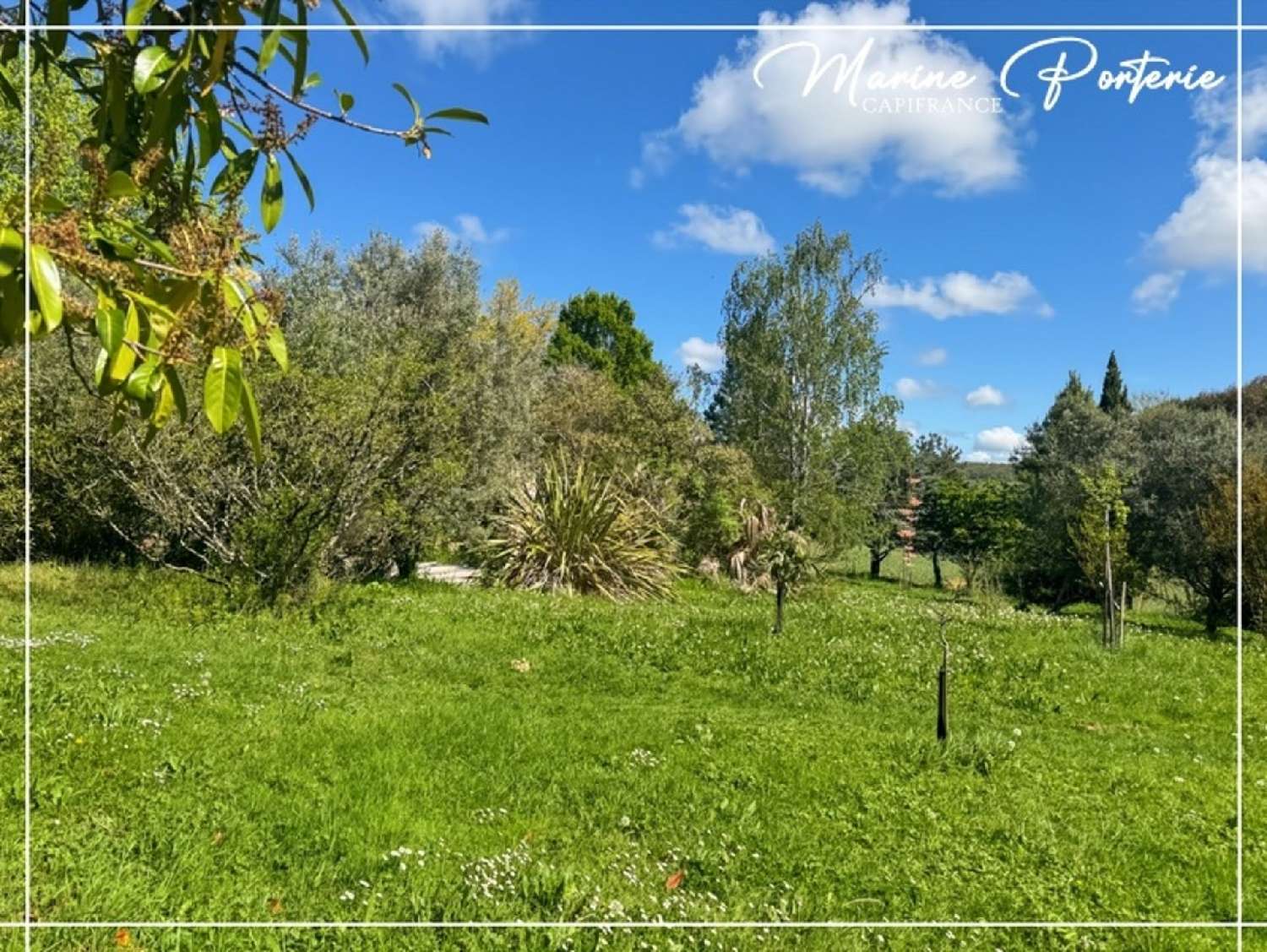 for sale house Lavardens Gers 5