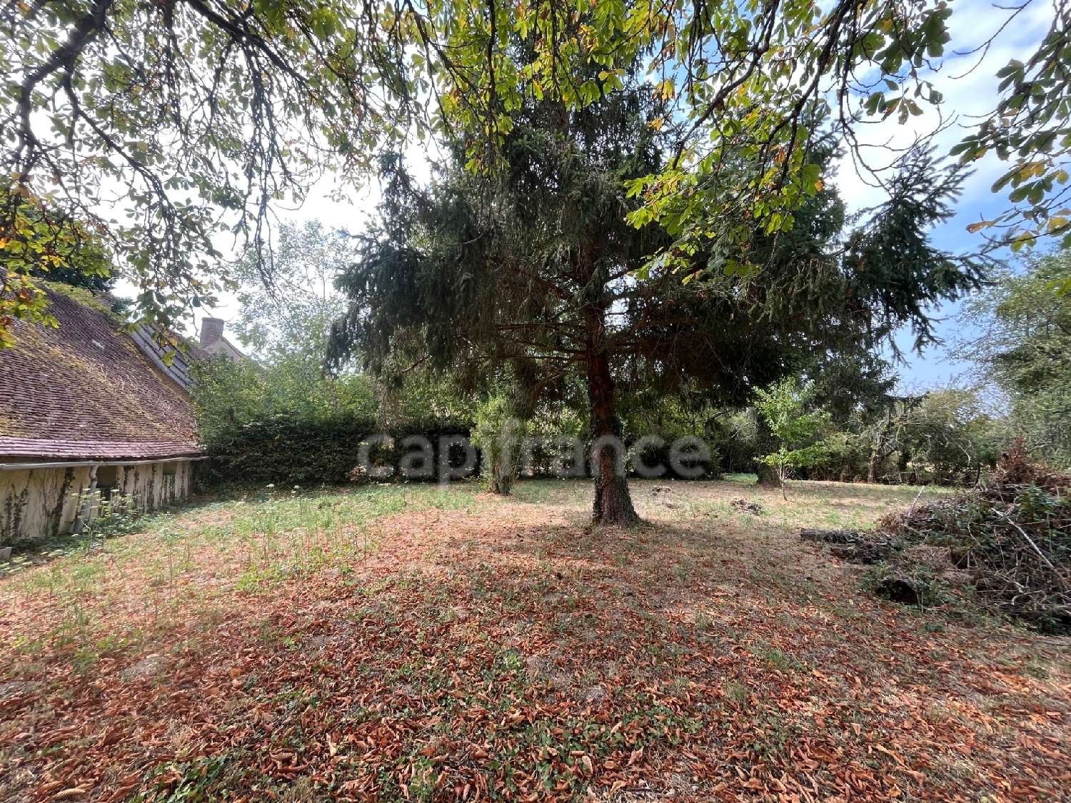 for sale house Le Charme Loiret 3