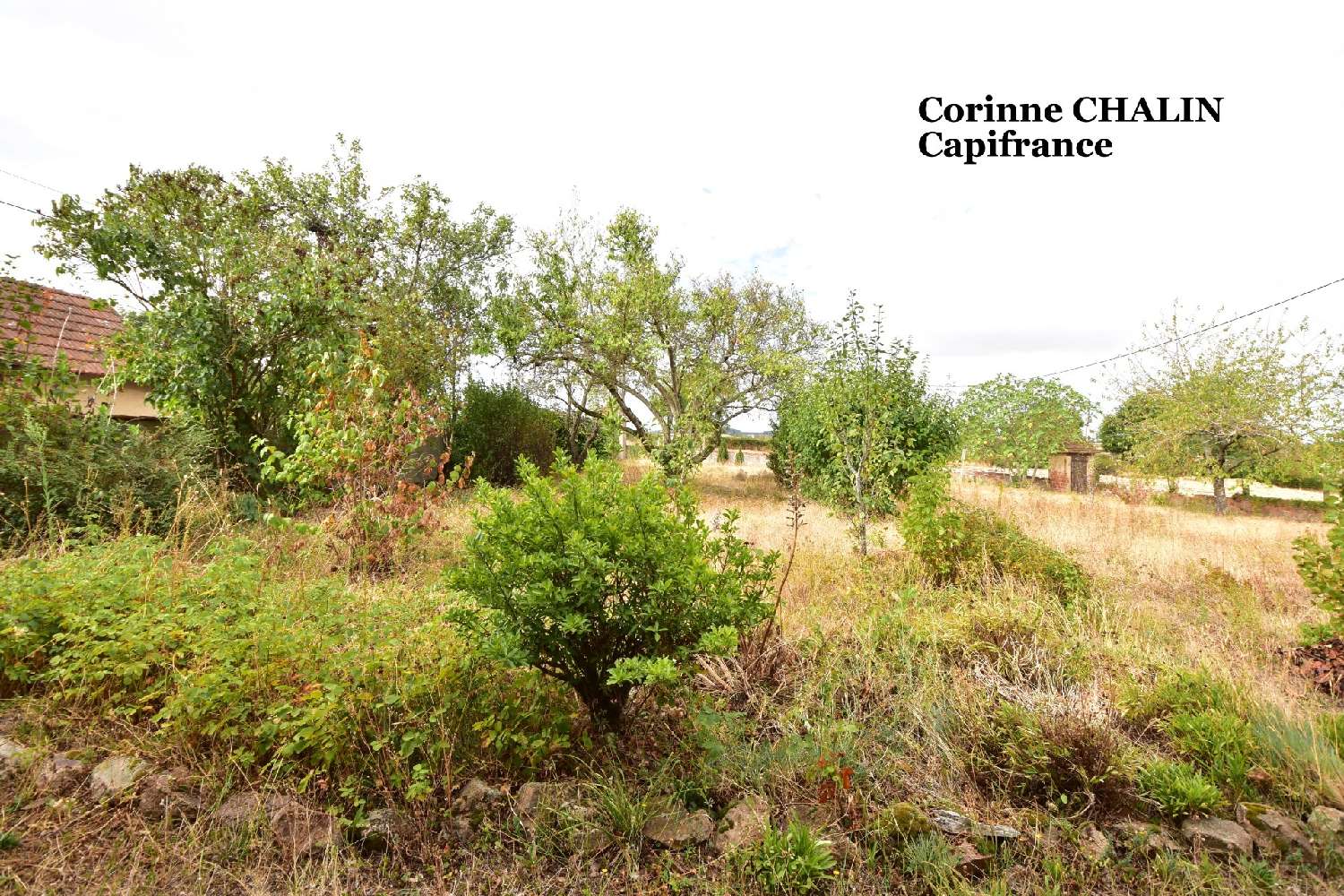 for sale house Le Donjon Allier 6