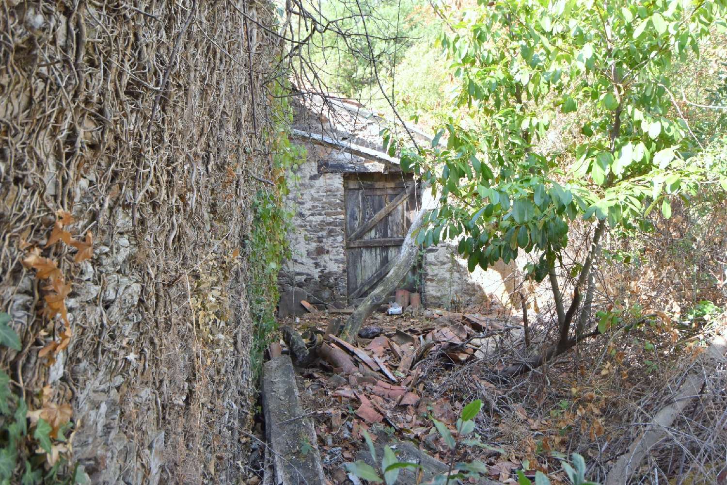 en venta casa Le Landreau Loire-Atlantique 2
