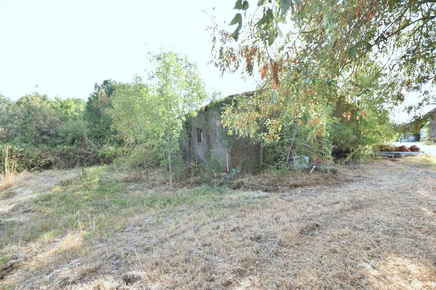 en venta casa Le Landreau Loire-Atlantique 6