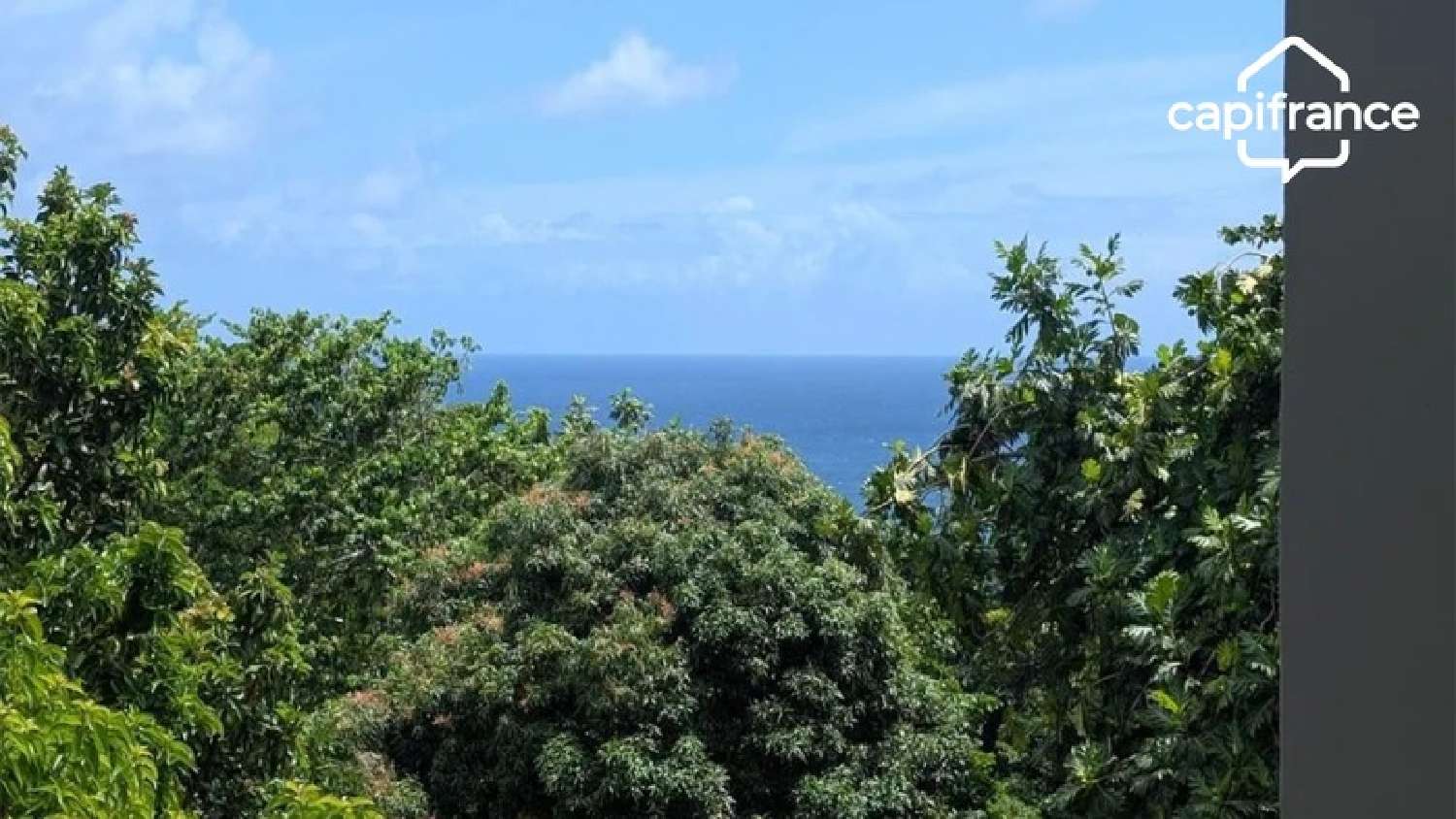 kaufen Haus Le Marigot Martinique 6