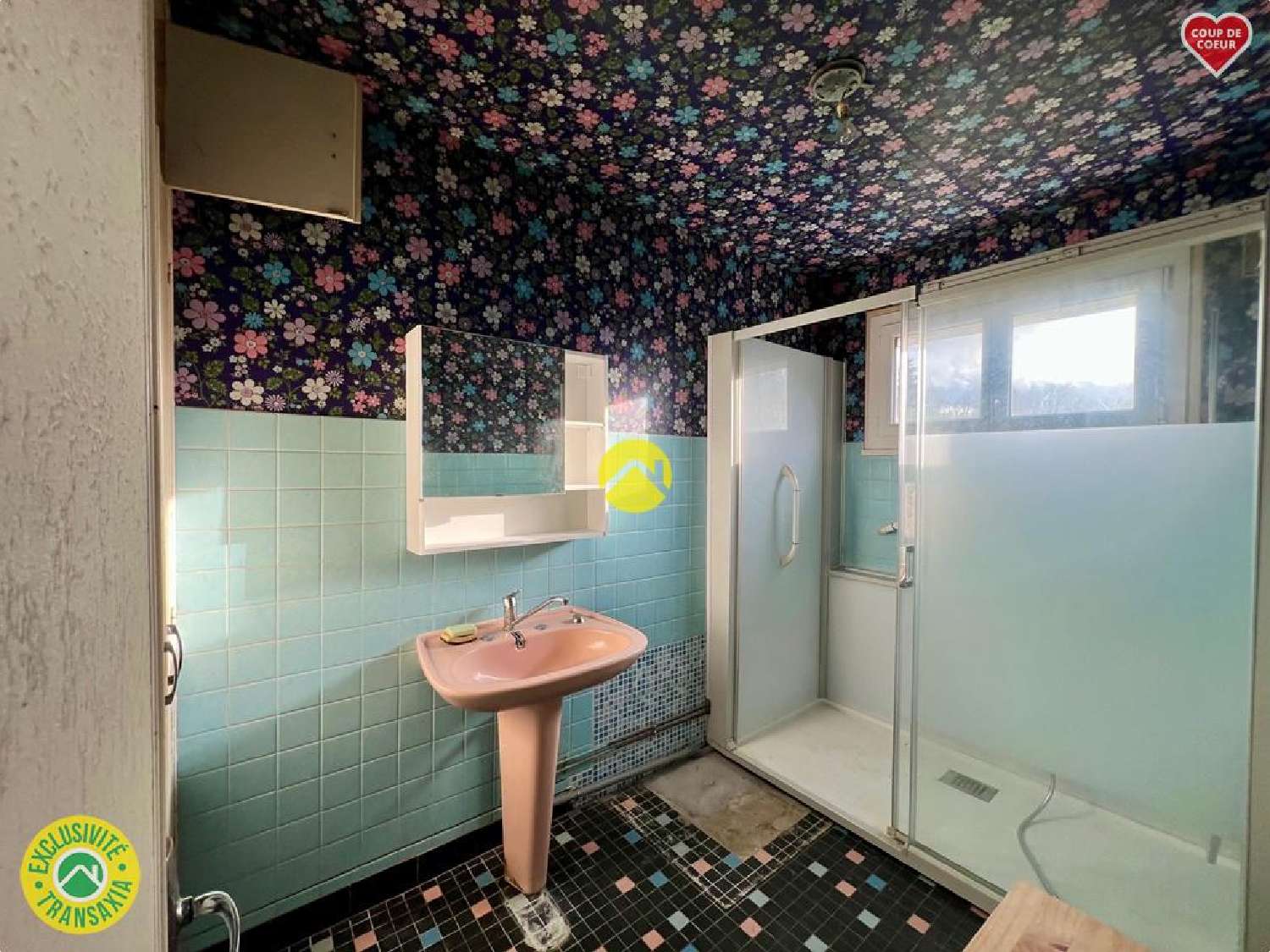 te koop huis Léré Cher 6