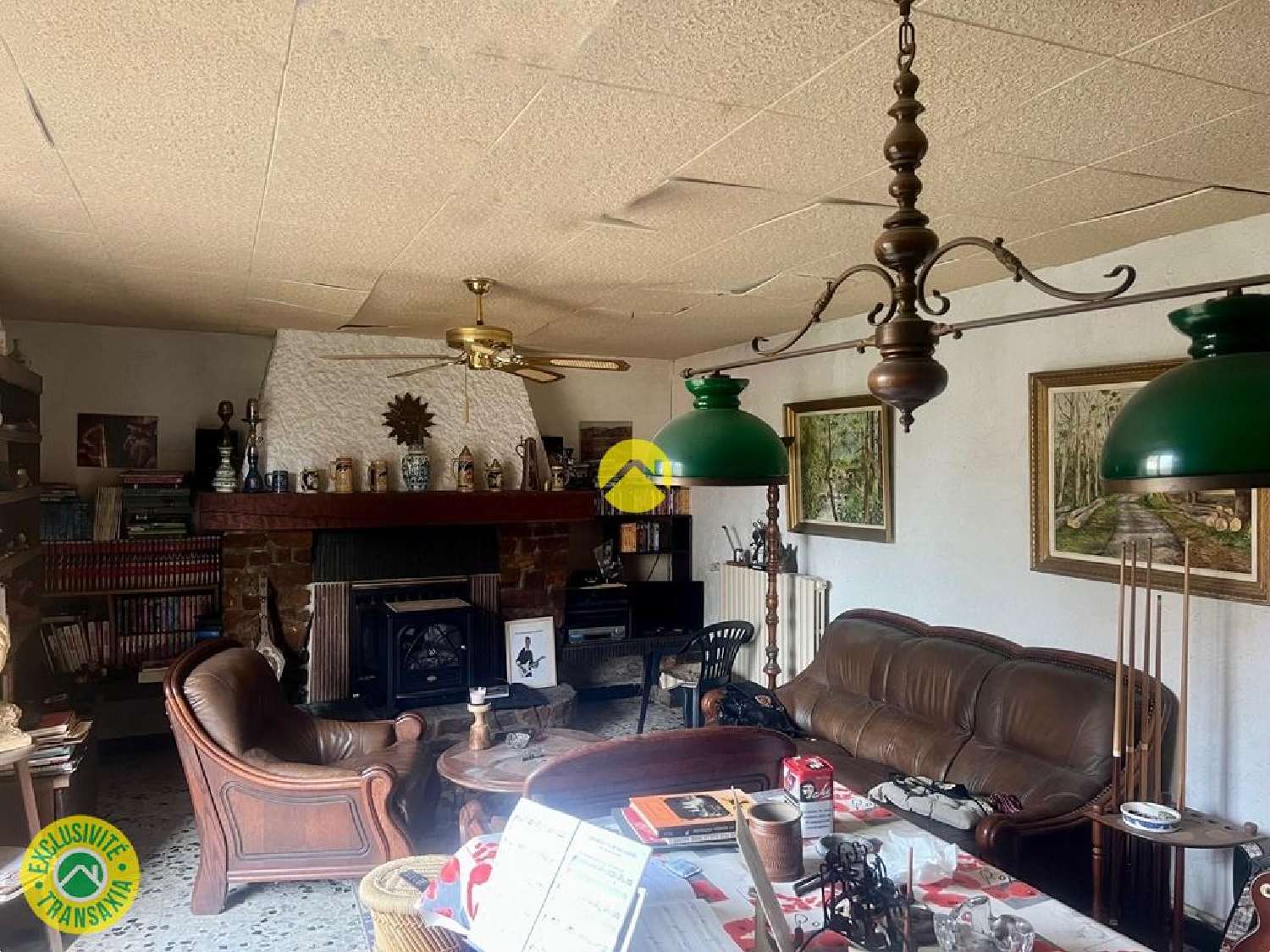 à vendre maison Léré Cher 2