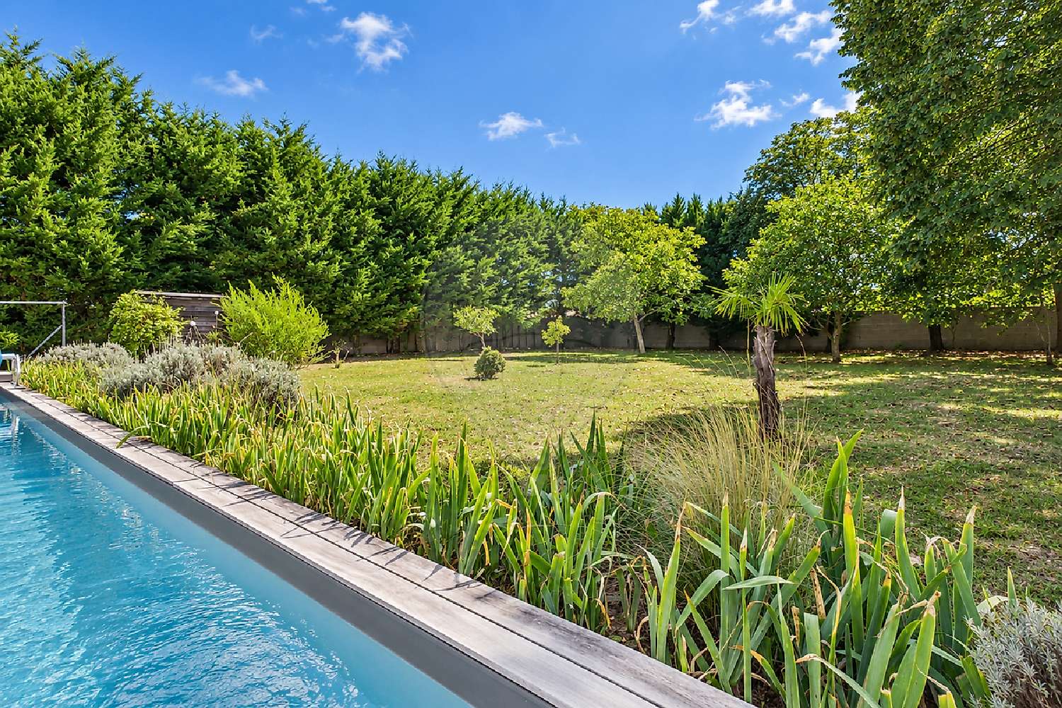 for sale house Les Mathes Charente-Maritime 2