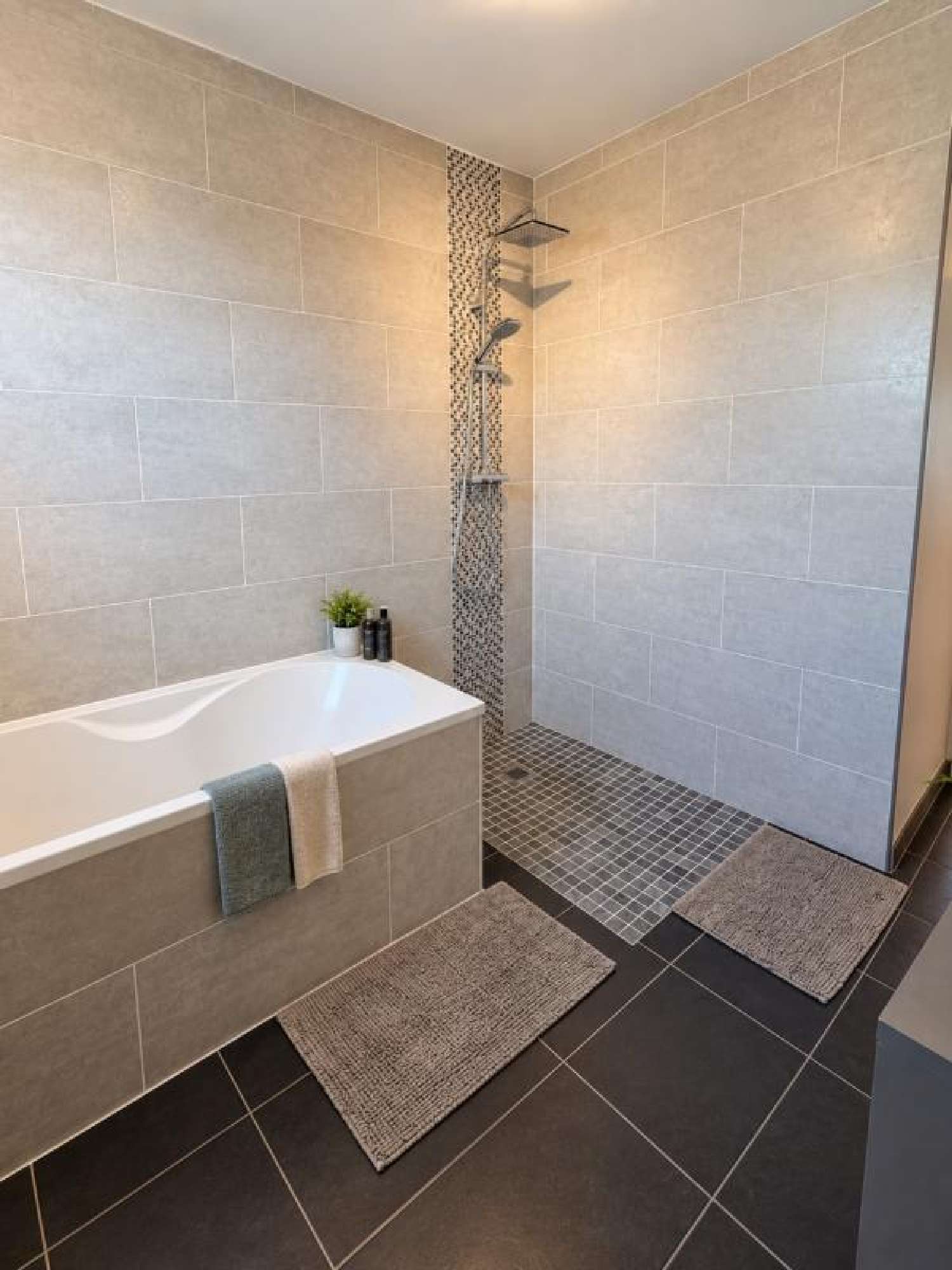  for sale house Lieu-Saint-Amand Nord 7