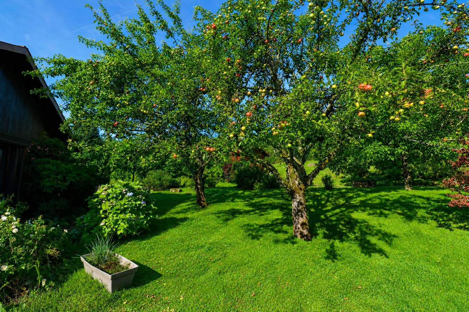 à vendre maison Liézey Vosges 8
