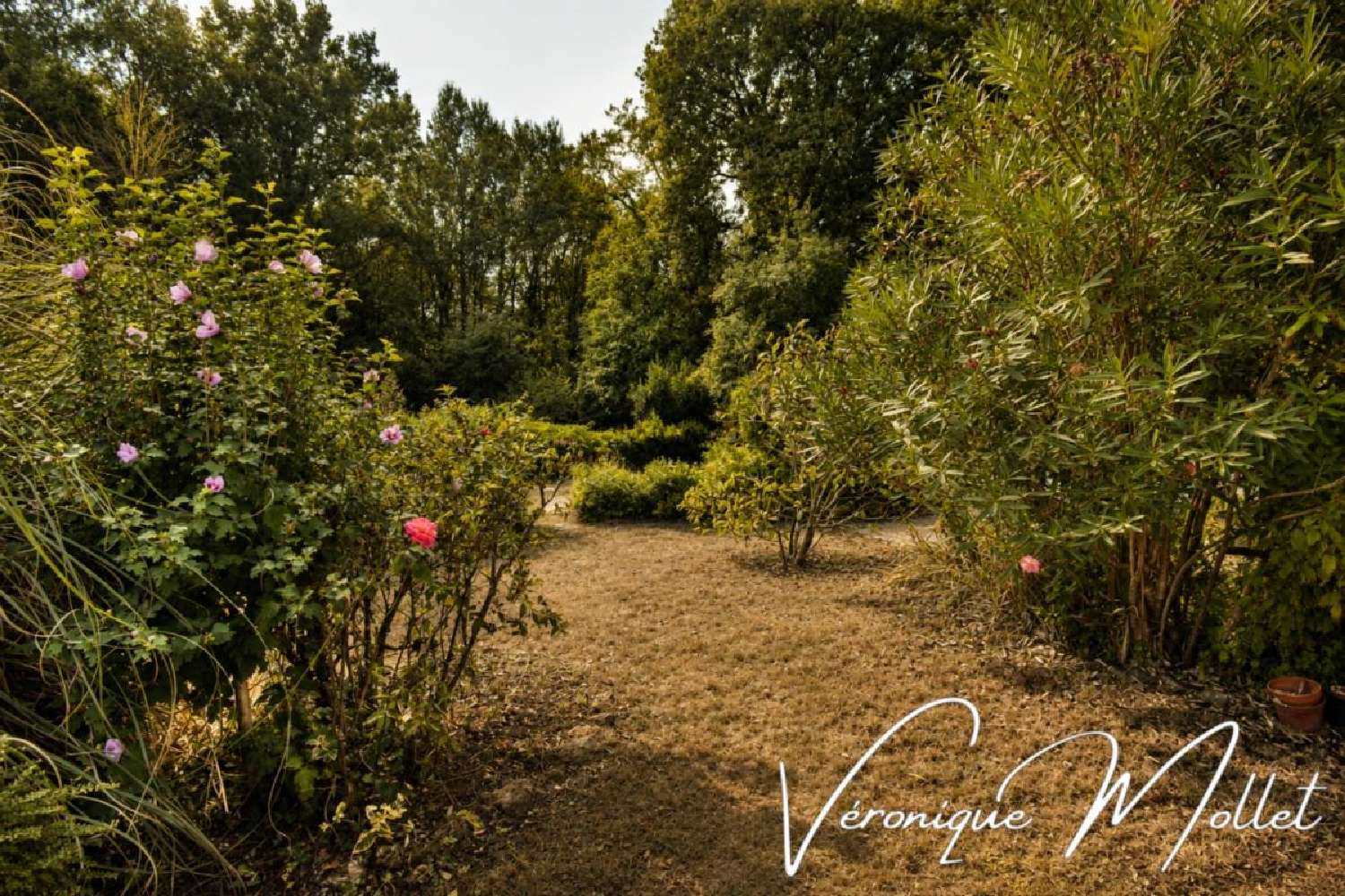 te koop huis Lignan-de-Bordeaux Gironde 6