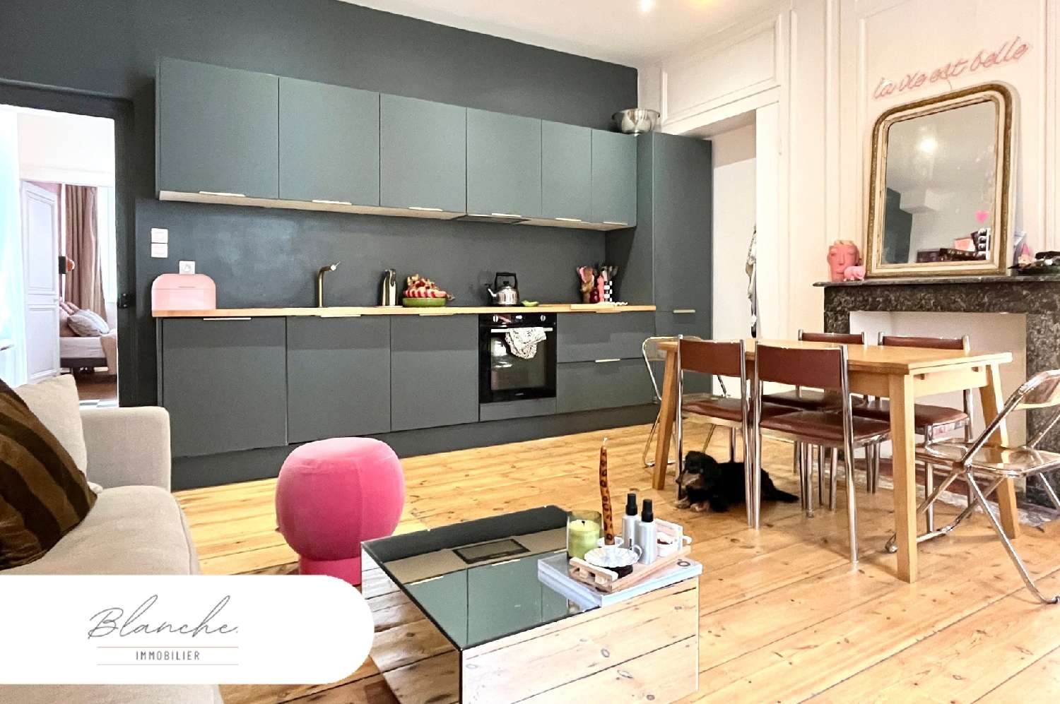 à vendre maison Lille 59800 Nord 2