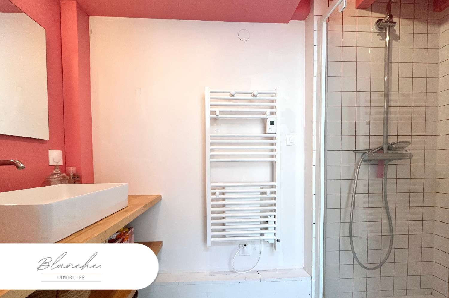 à vendre maison Lille 59800 Nord 6