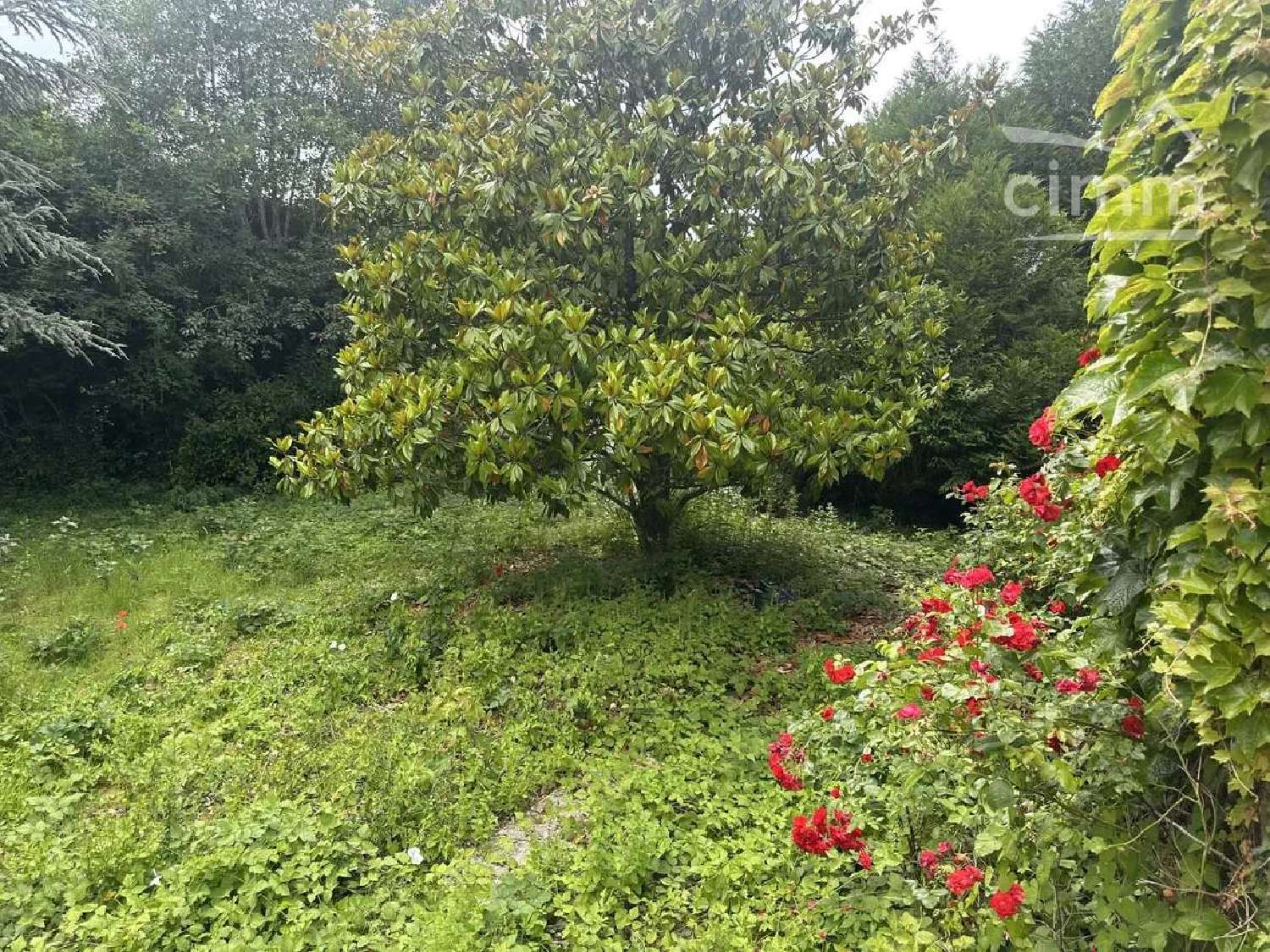 kaufen Haus Lizy-sur-Ourcq Seine-et-Marne 8