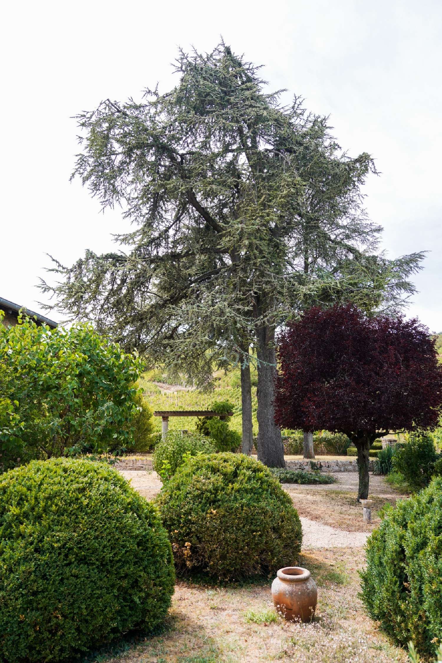 en venta casa Loché Saône-et-Loire 5