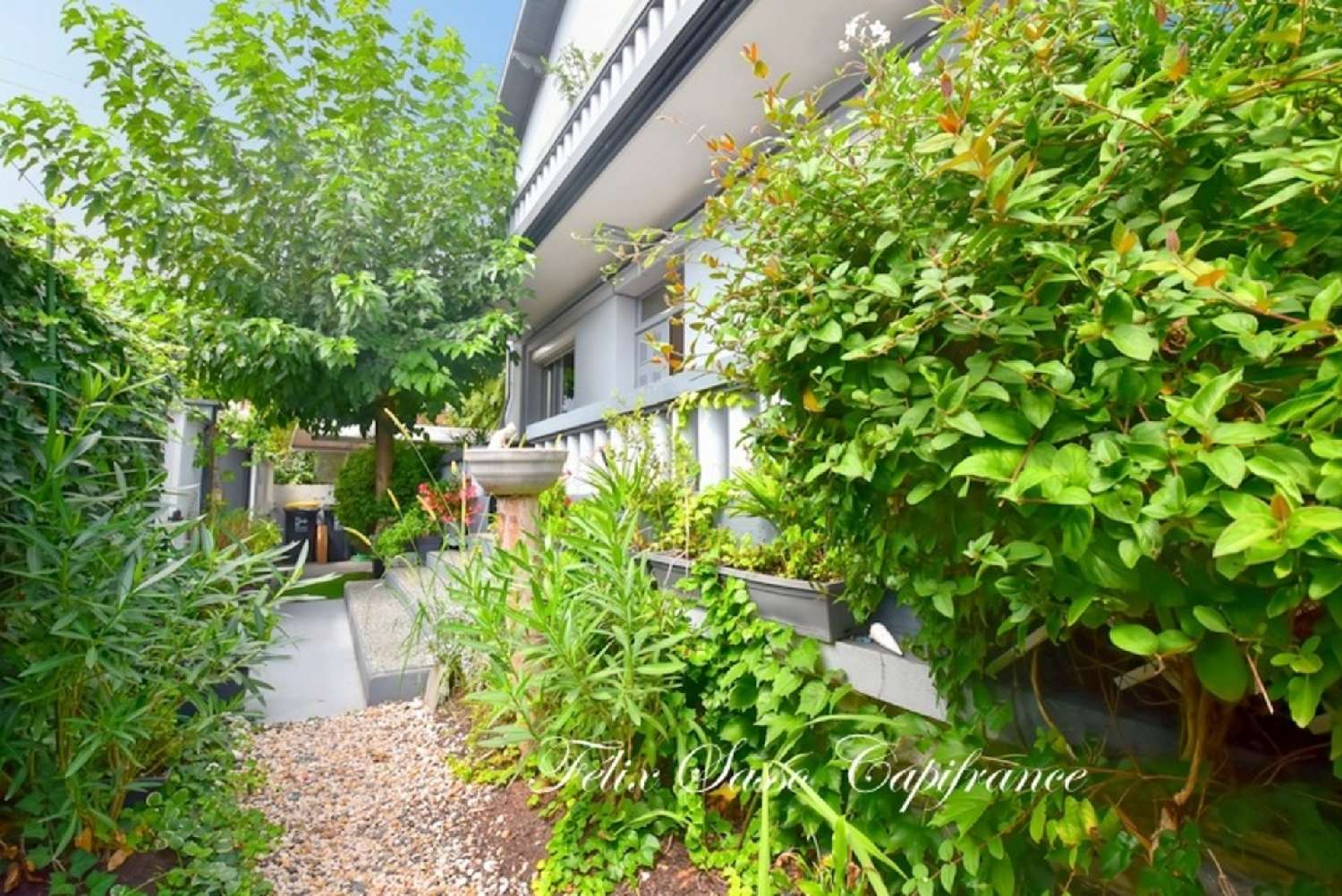 kaufen Haus Lourdes Hautes-Pyrénées 7