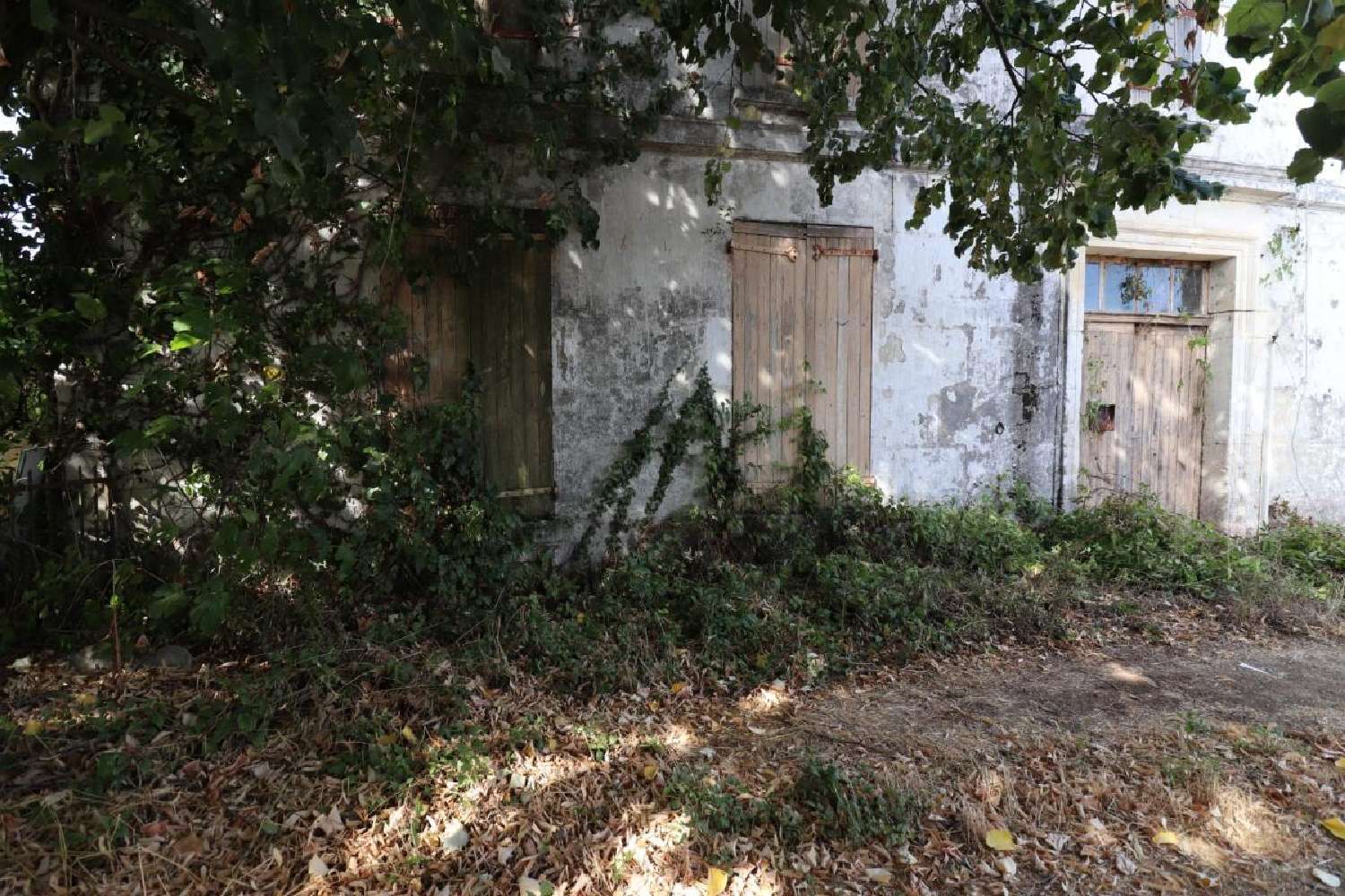 à vendre maison Louzignac Charente-Maritime 2