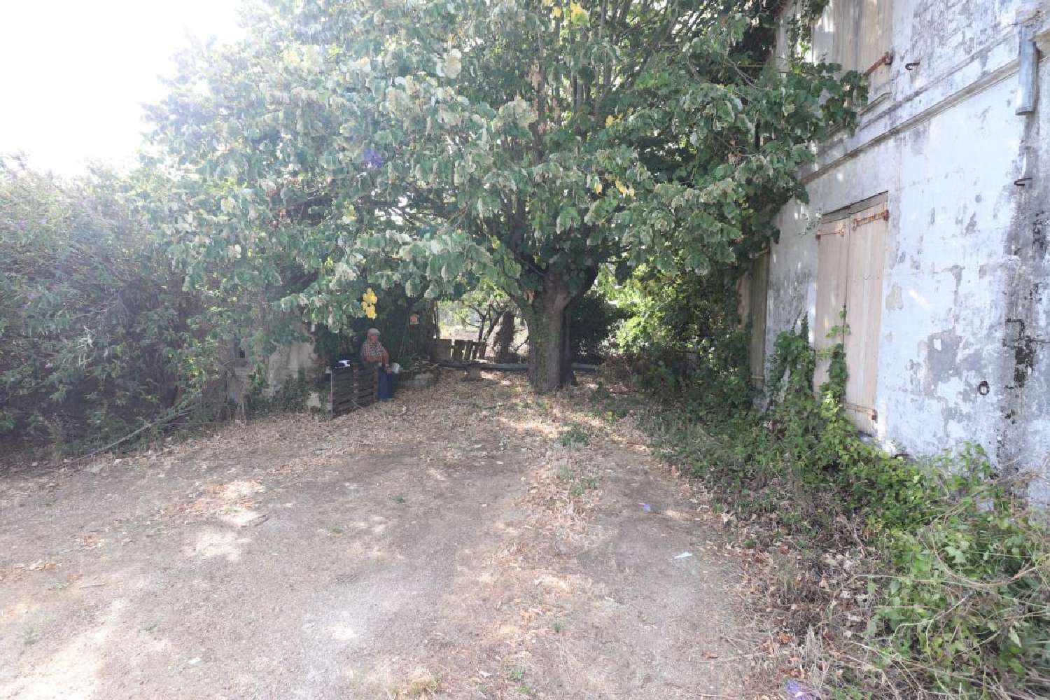  à vendre maison Louzignac Charente-Maritime 4