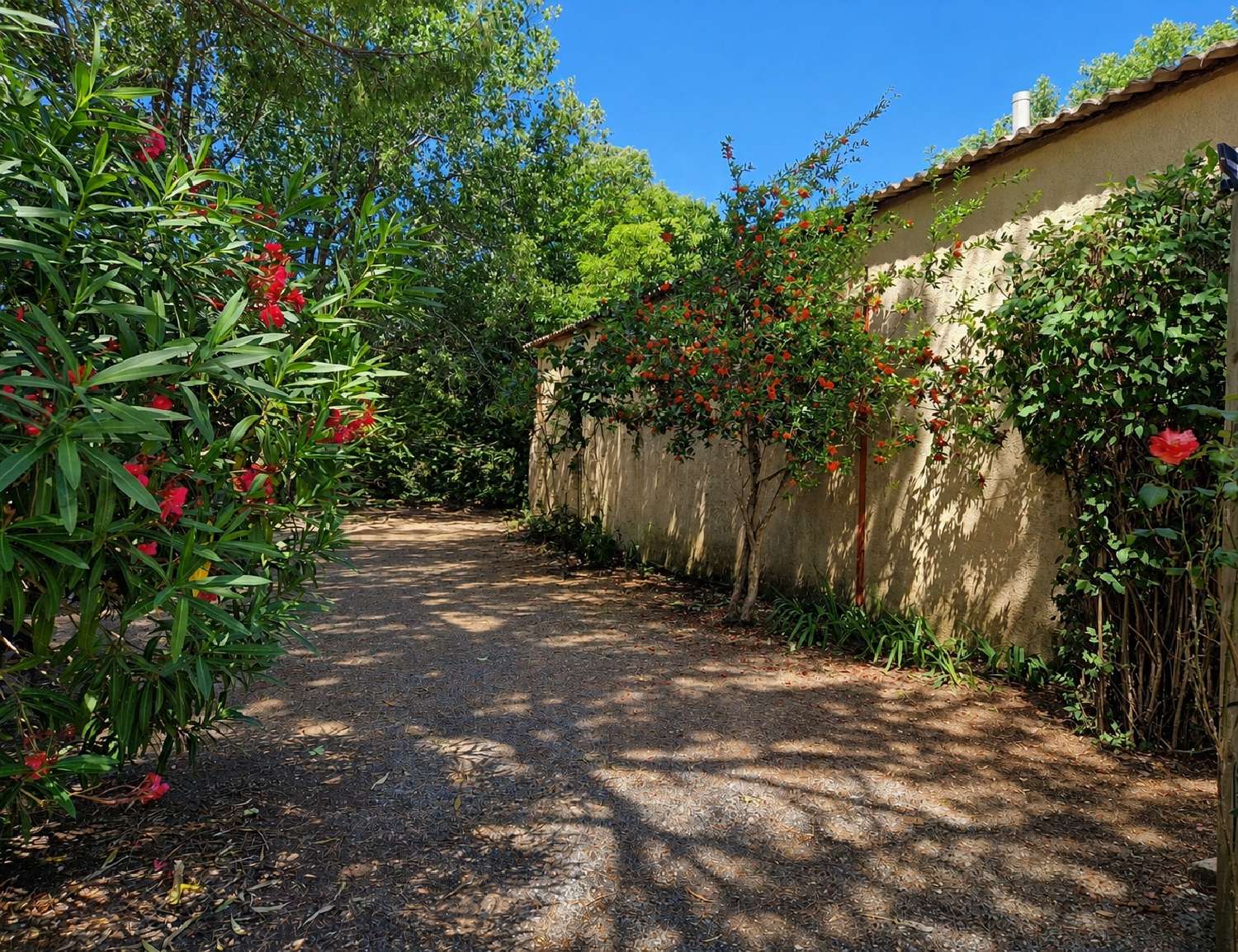  en venta casa Lunel-Viel Hérault 4