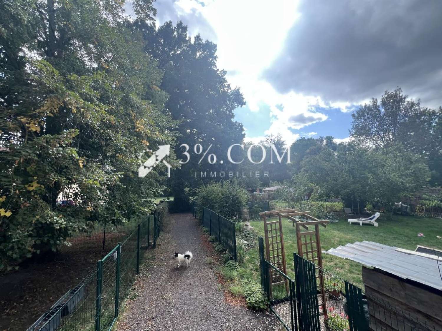te koop huis Lunéville Meurthe-et-Moselle 2