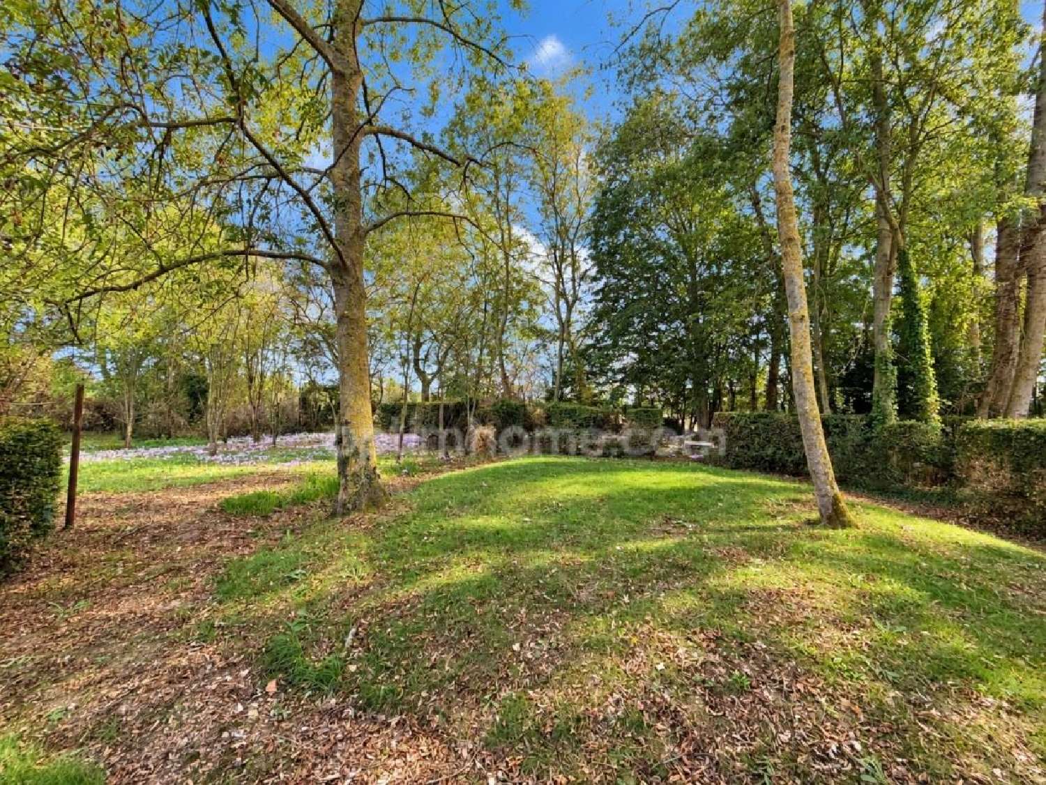  à vendre maison Magny-la-Campagne Calvados 4