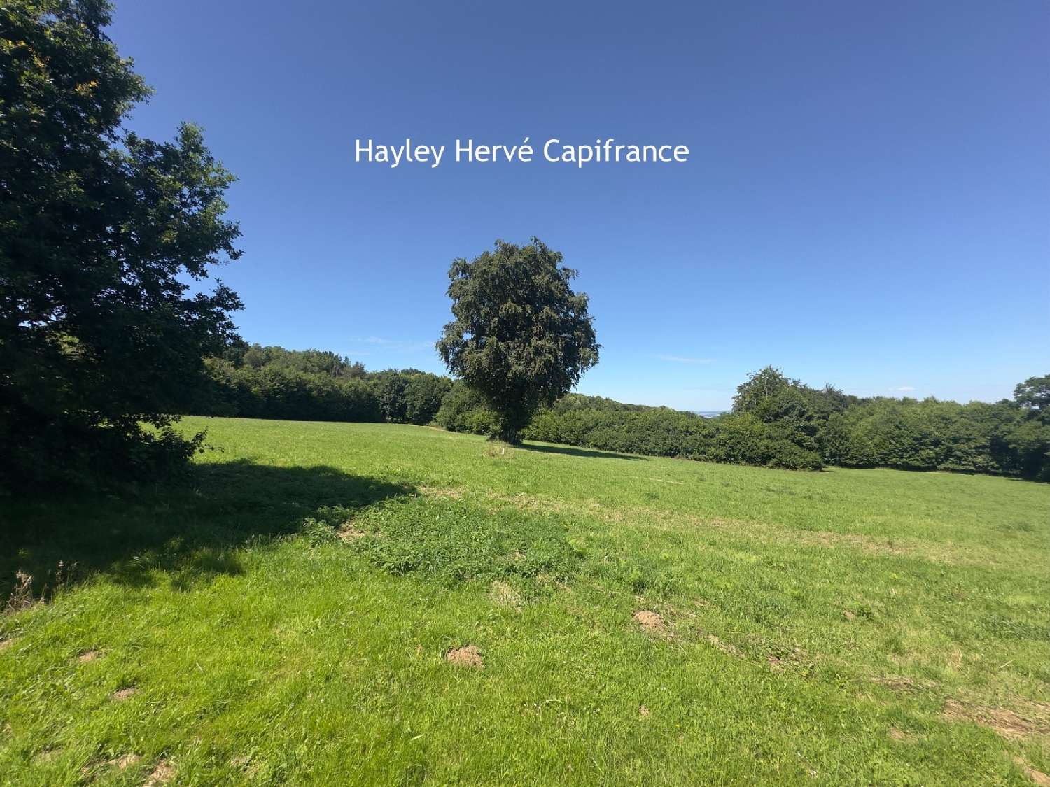  for sale house Maisoncelles-la-Jourdan Calvados 5