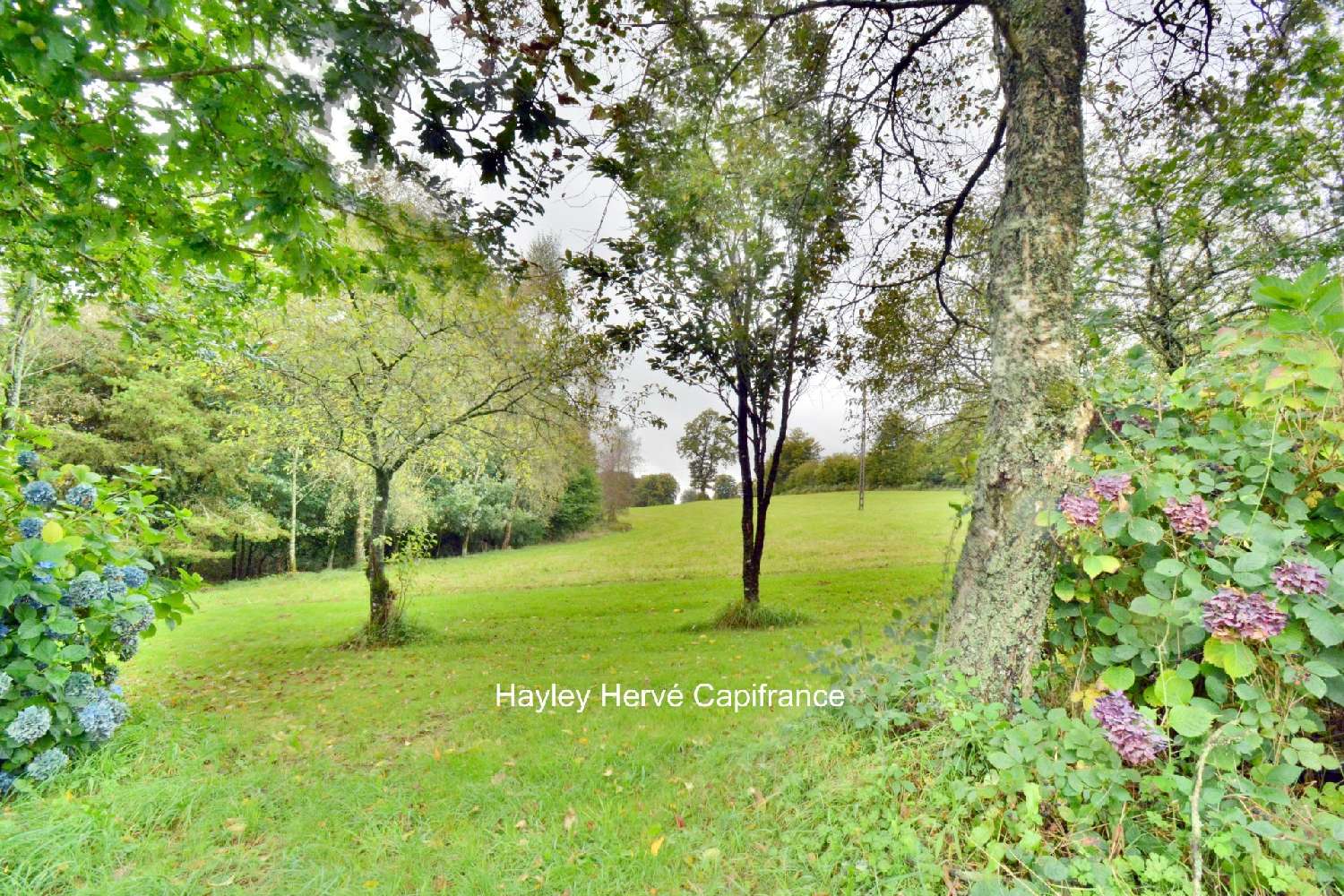  for sale house Maisoncelles-la-Jourdan Calvados 7