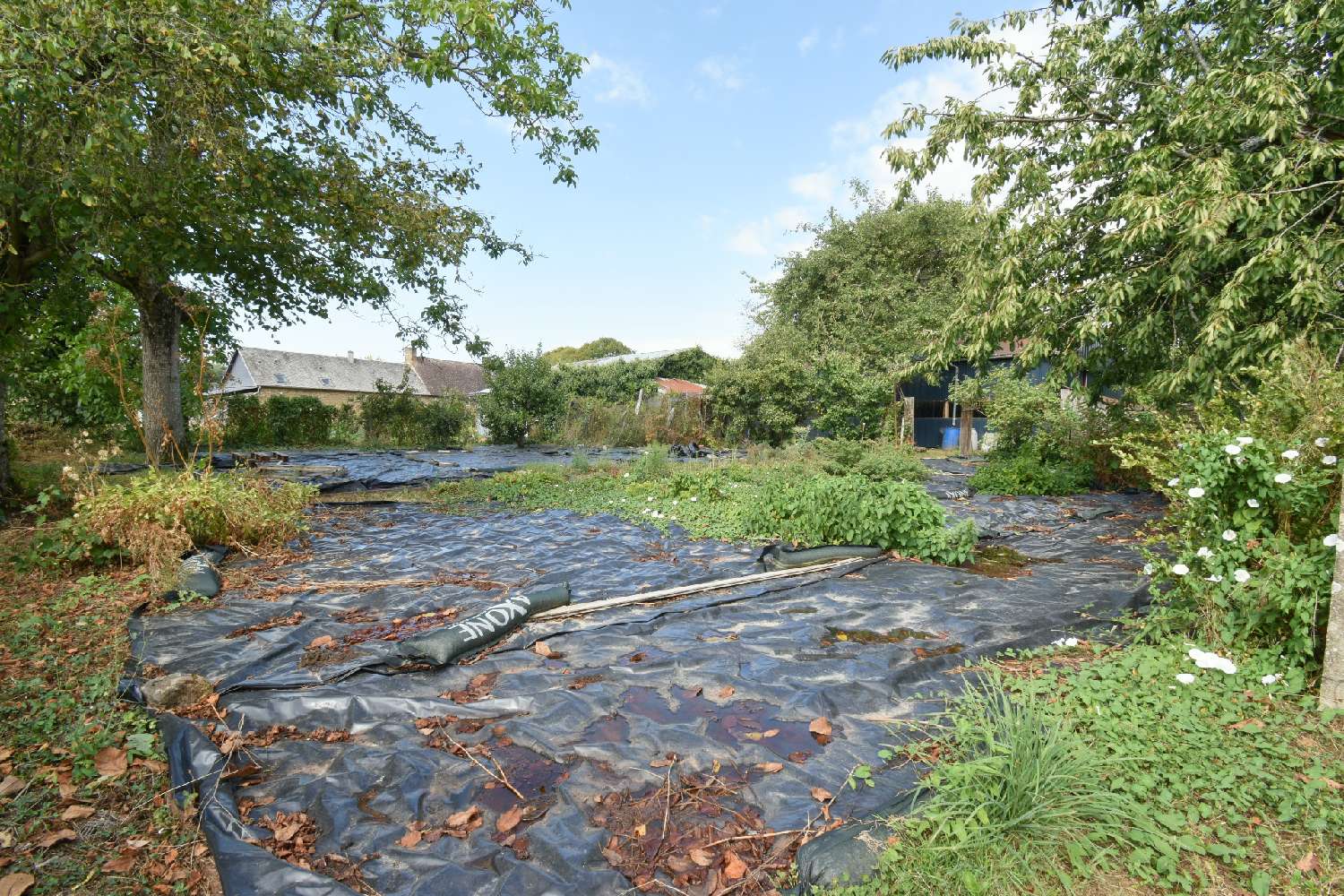  for sale house Mantilly Orne 4