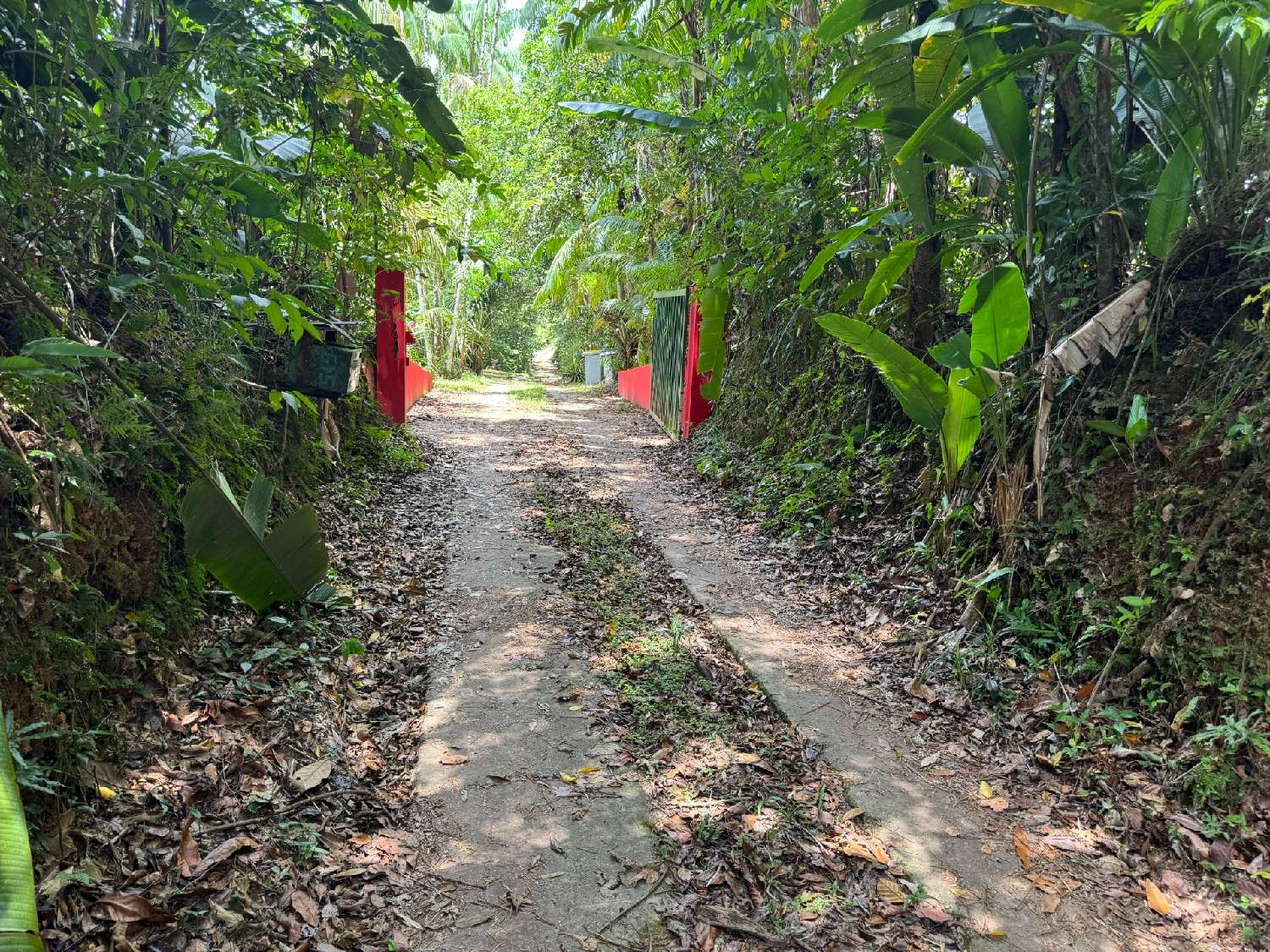 à vendre maison Maripasoula Guyane 5