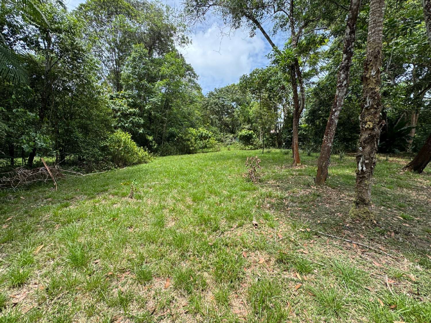 à vendre maison Maripasoula Guyane 6