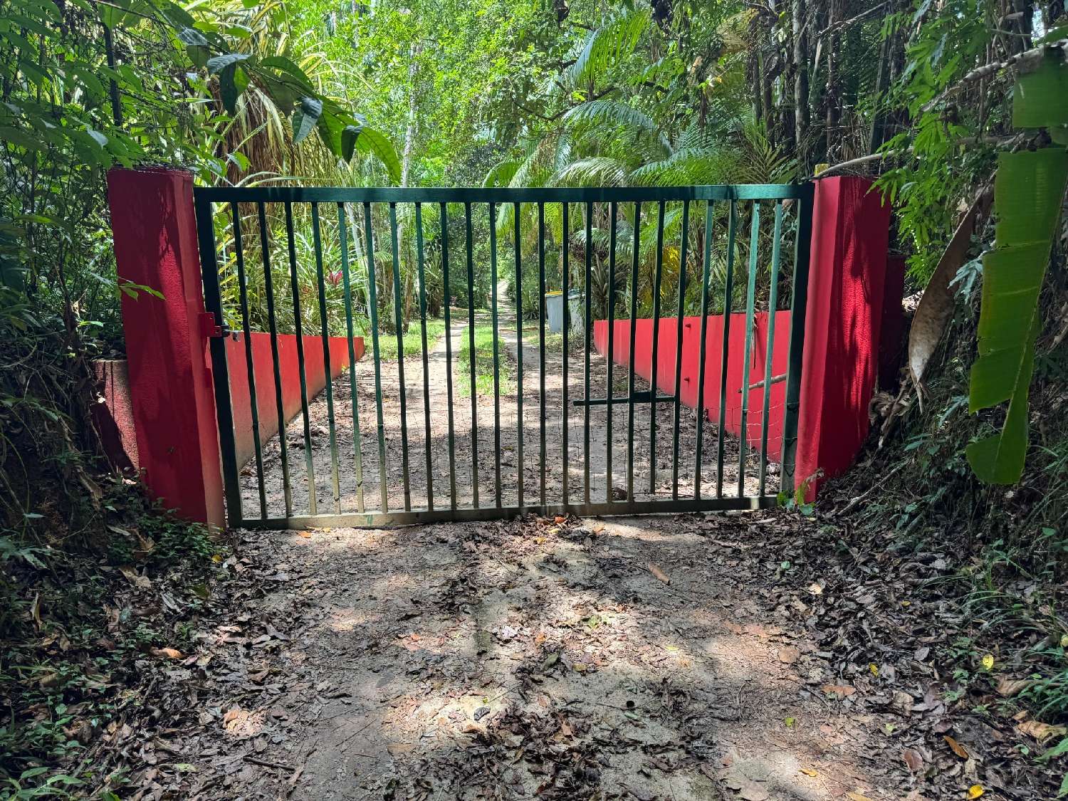 à vendre maison Maripasoula Guyane 8