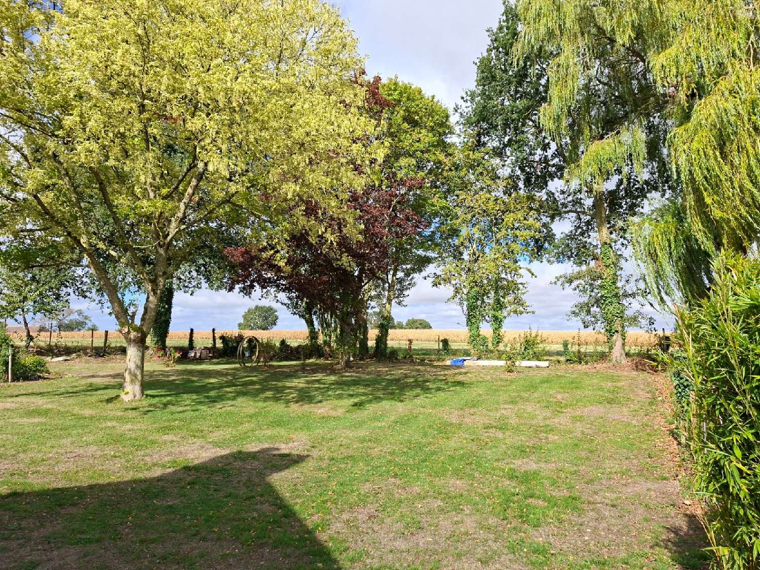  à vendre maison Marolles-les-Braults Sarthe 5