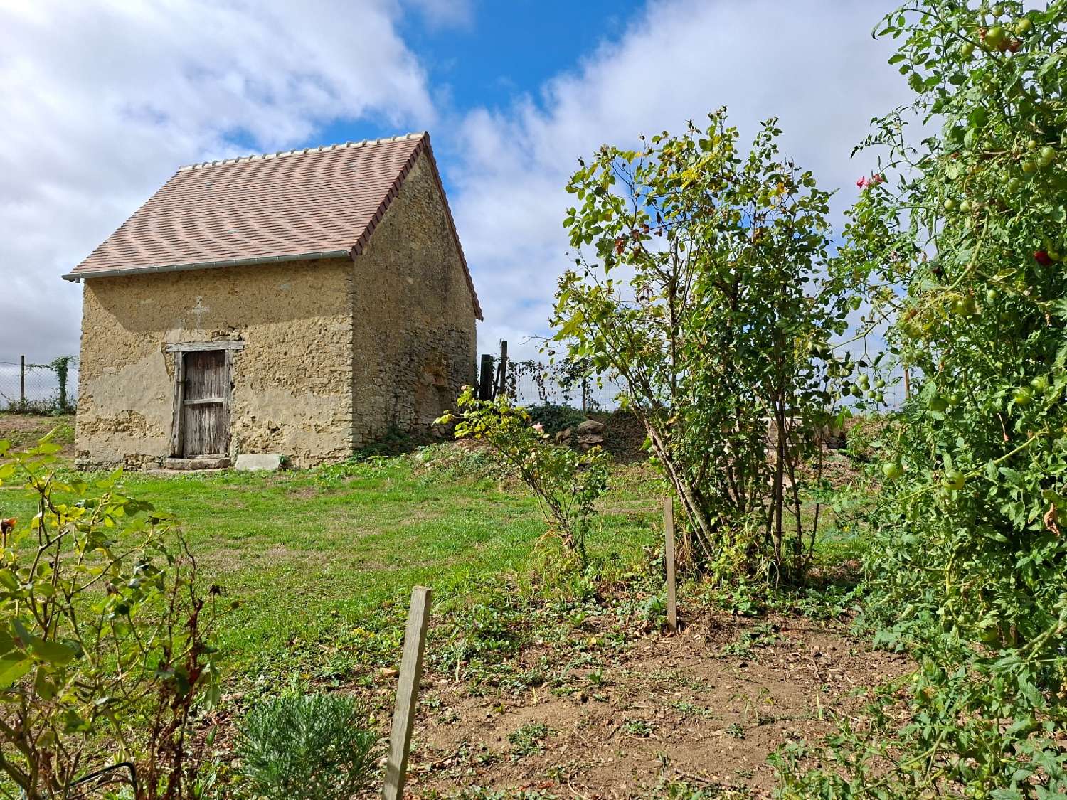  à vendre maison Marolles-les-Braults Sarthe 6