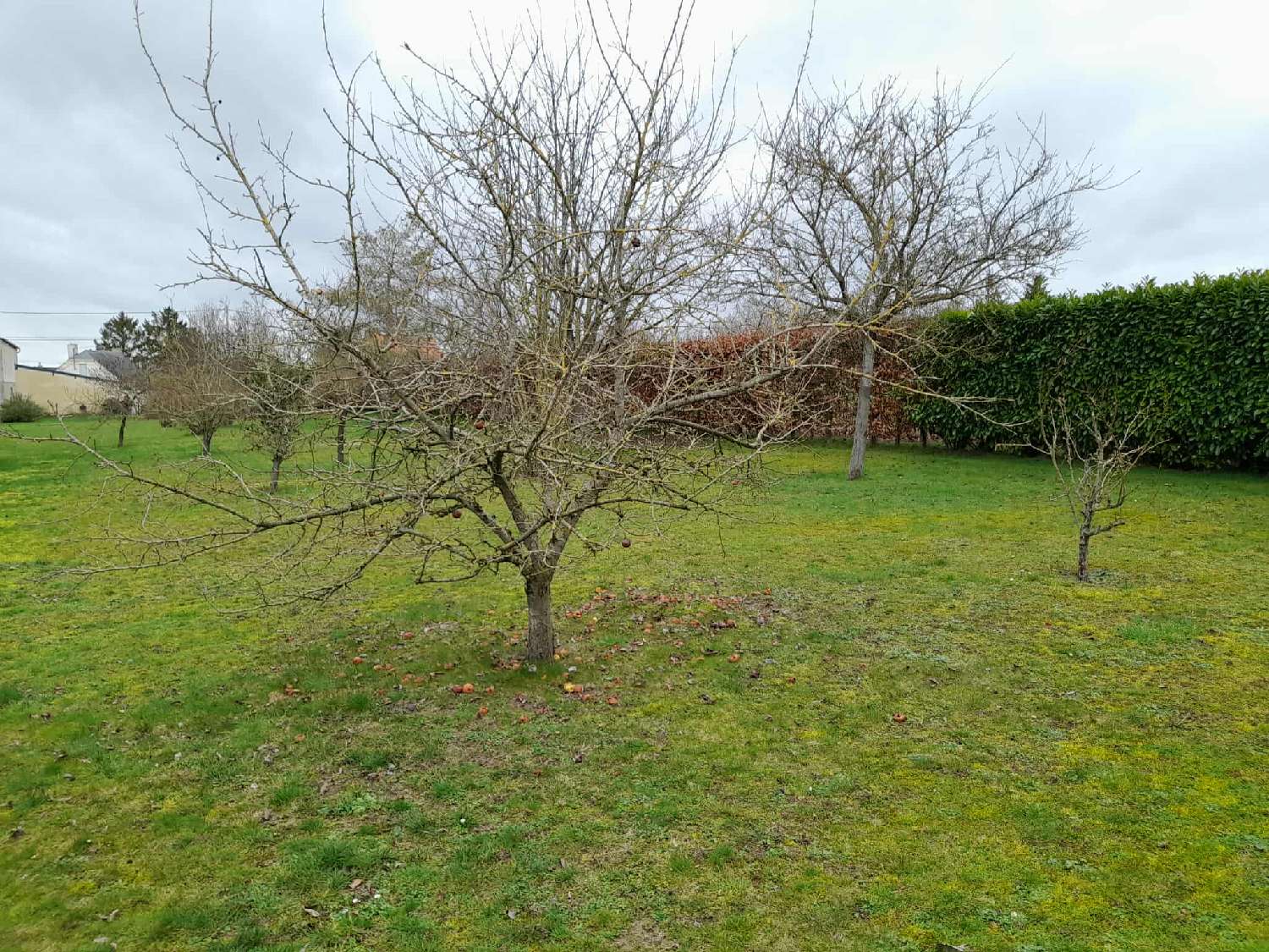  for sale house Mesbrecourt-Richecourt Aisne 3