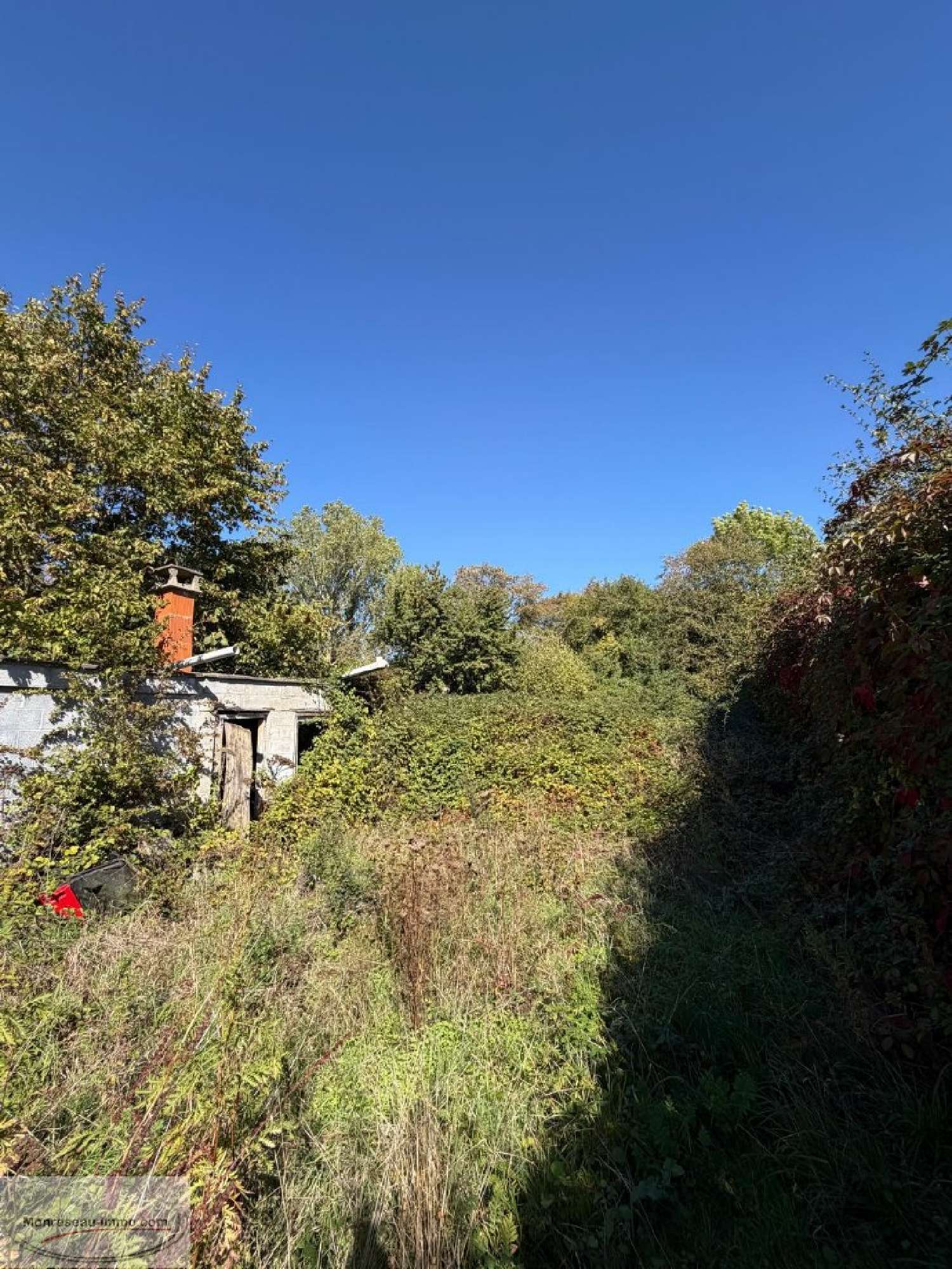  te koop huis Mons-en-Pévèle Nord 4