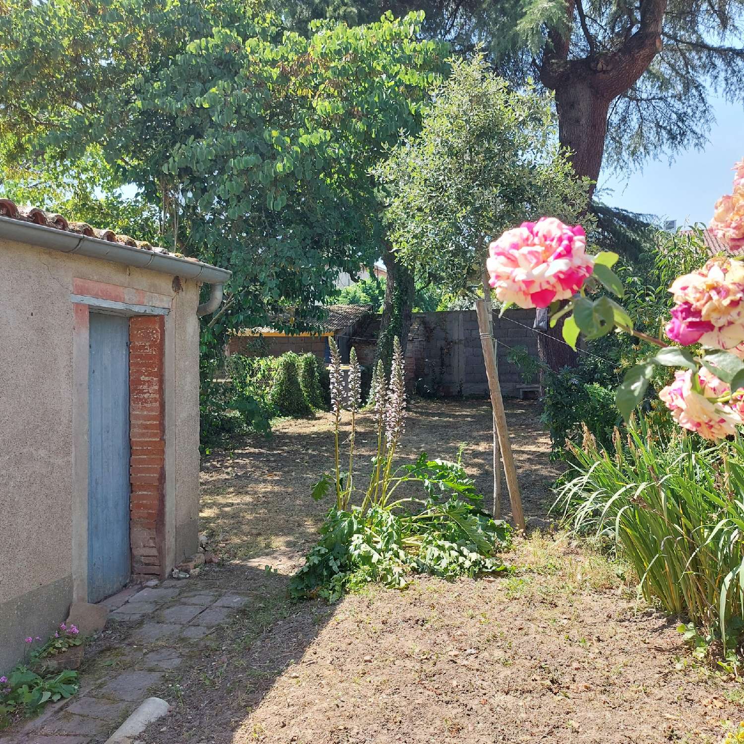  for sale house Montauban Tarn-et-Garonne 2
