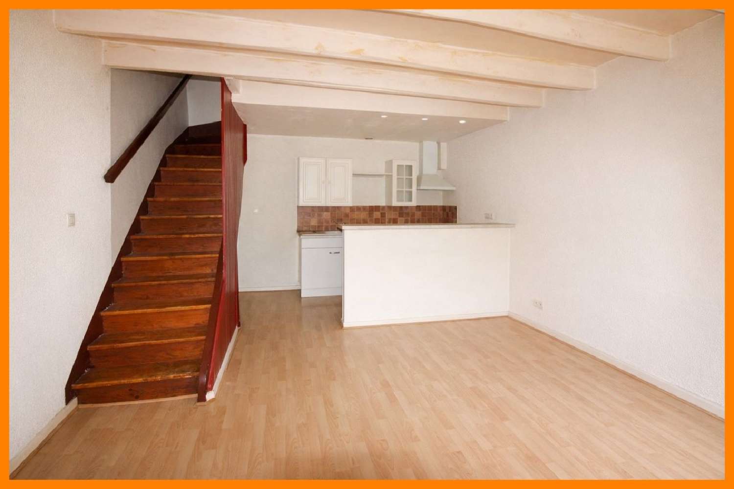  à vendre maison Montluel Ain 2