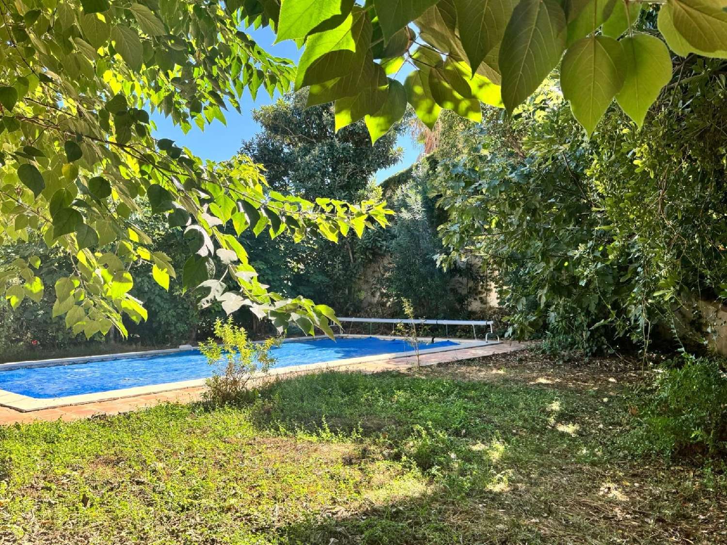  à vendre maison Montpellier Hérault 3