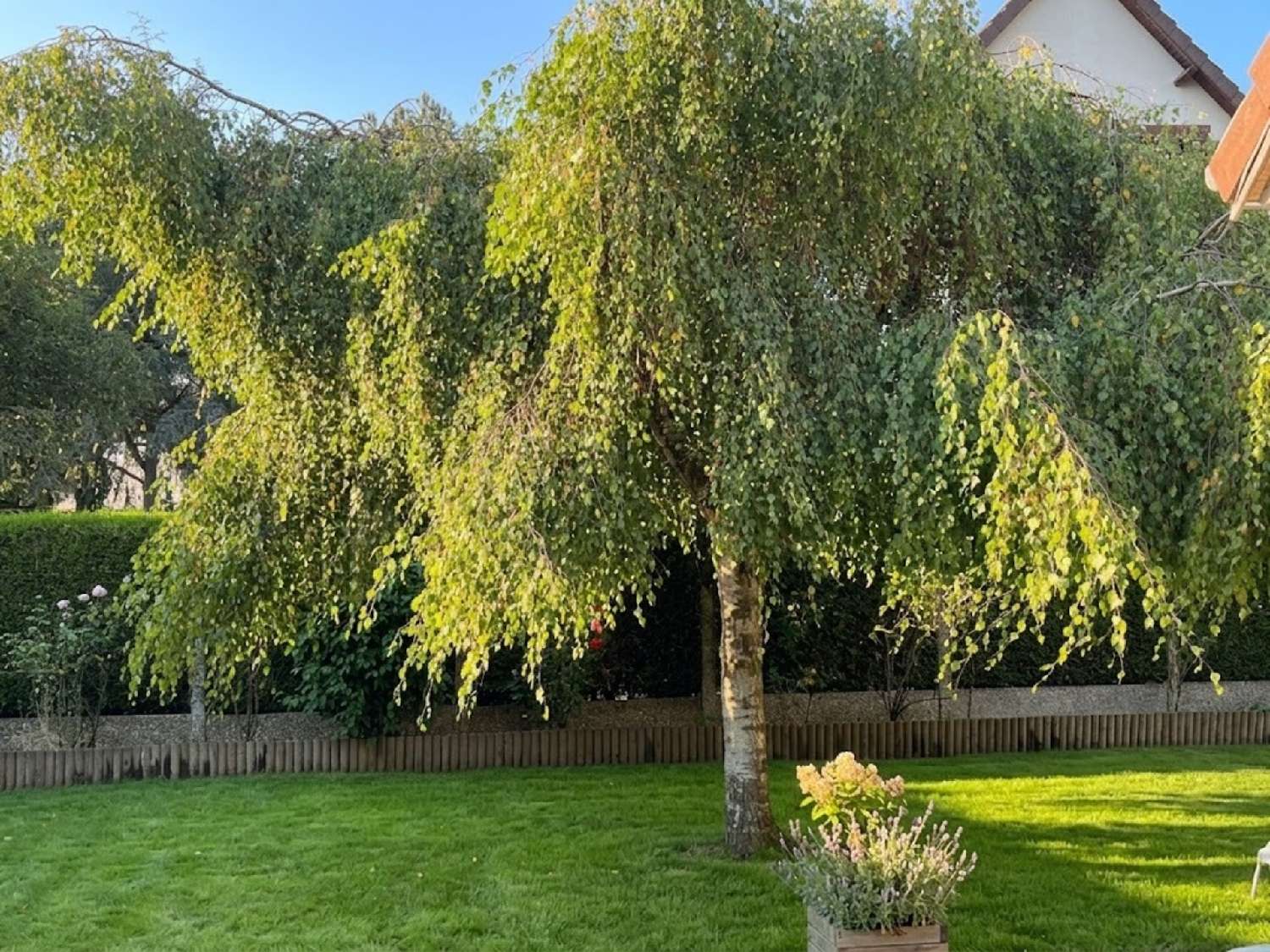  kaufen Haus Mouen Calvados 2