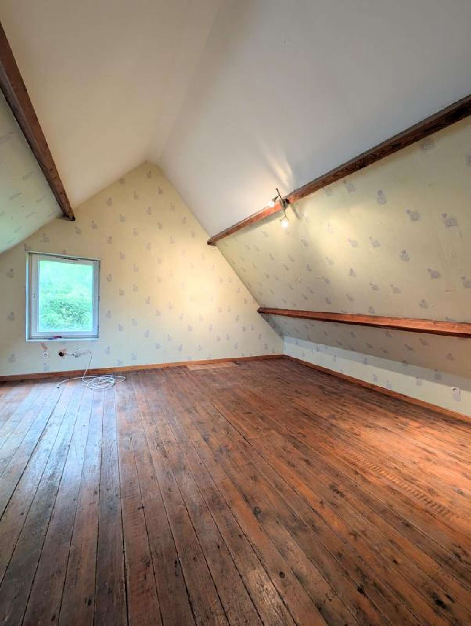 kaufen Haus Moulle Pas-de-Calais 3