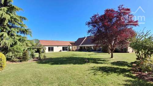 Muides-sur-Loire Loir-et-Cher Haus Bild 7402155
