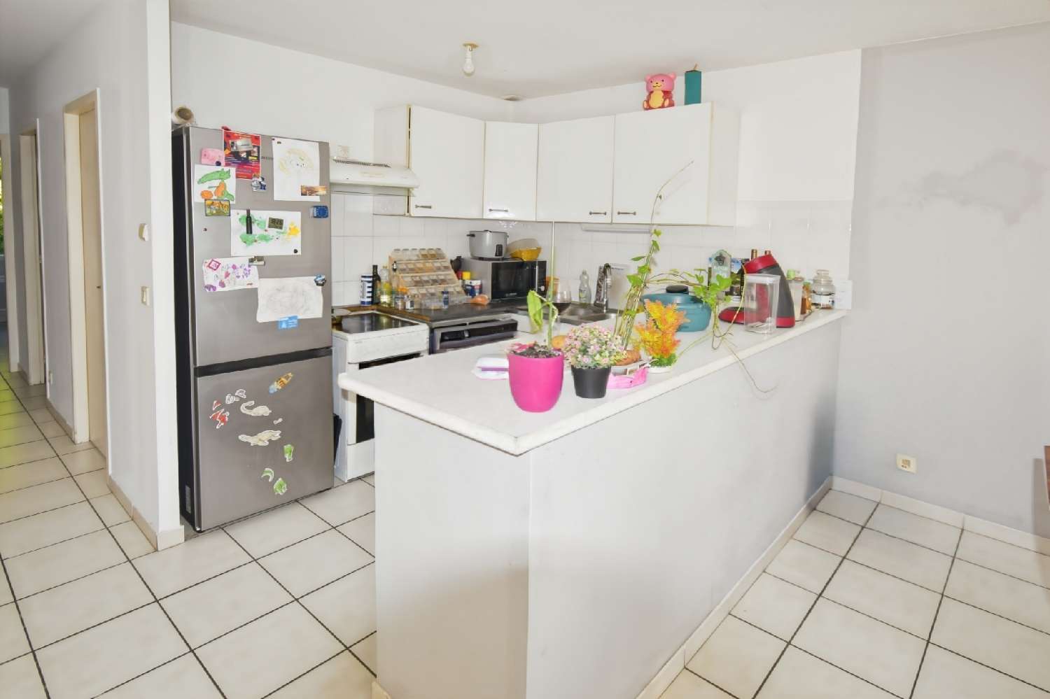 à vendre maison Narrosse Landes 4