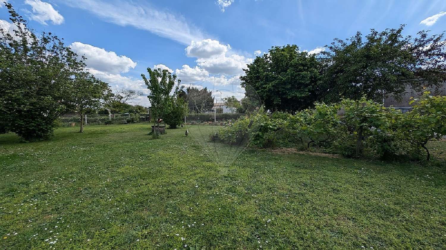à vendre maison Nieulle-sur-Seudre Charente-Maritime 3