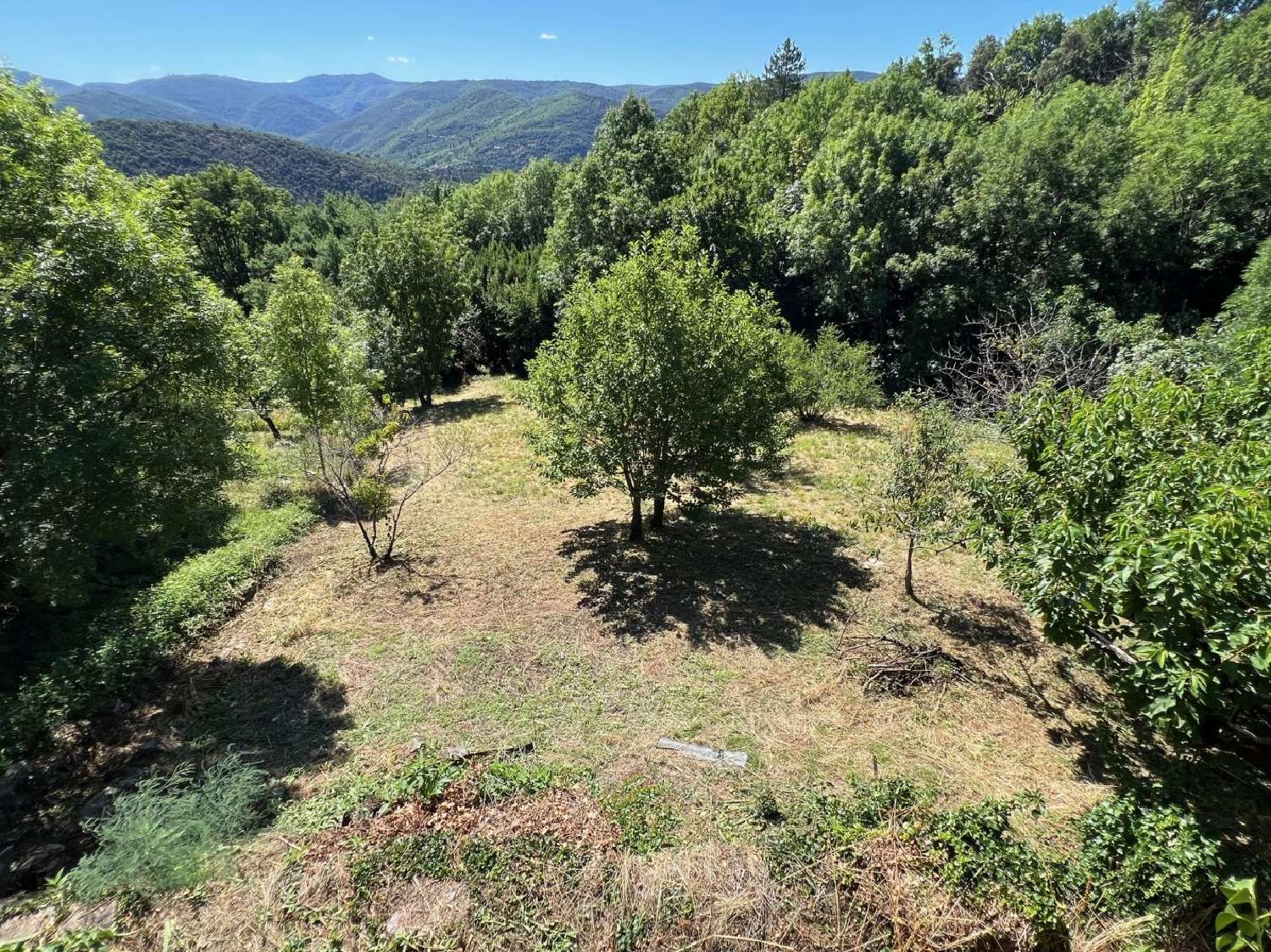  à vendre maison Olargues Hérault 3