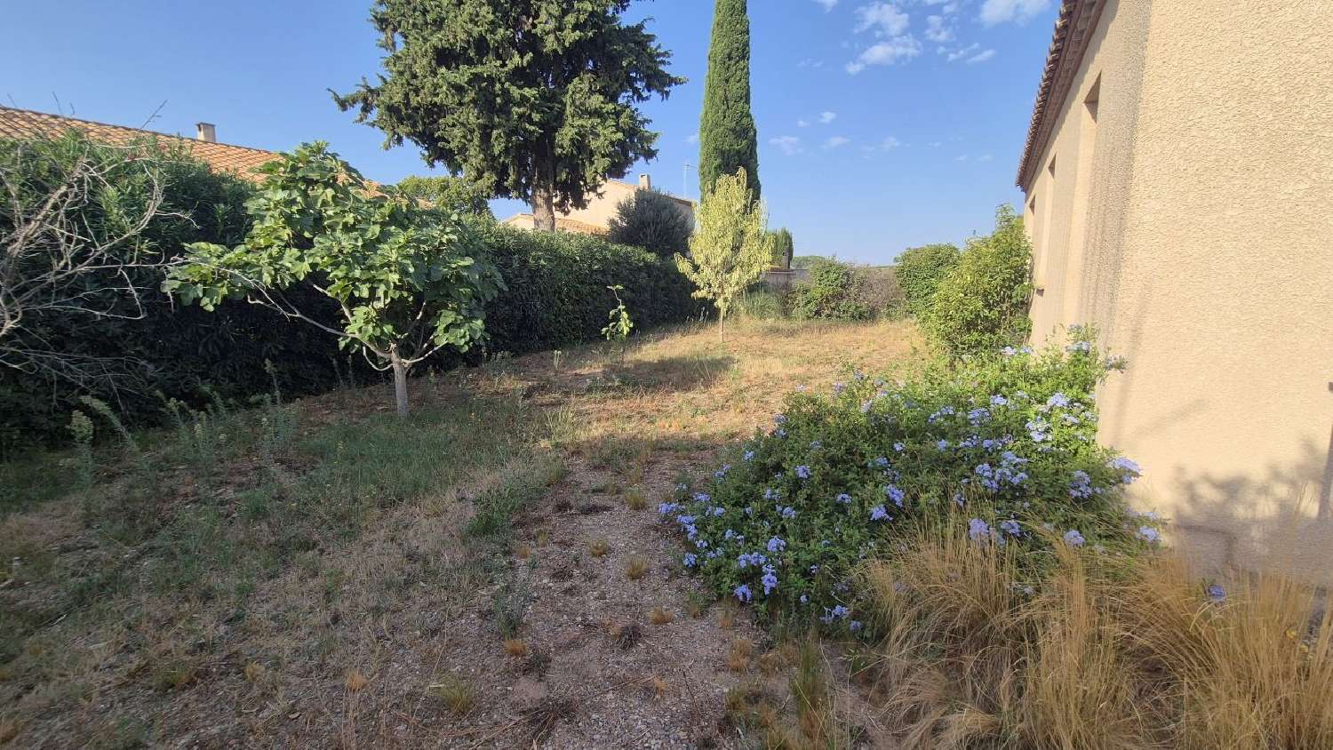 à vendre maison Olonzac Hérault 3