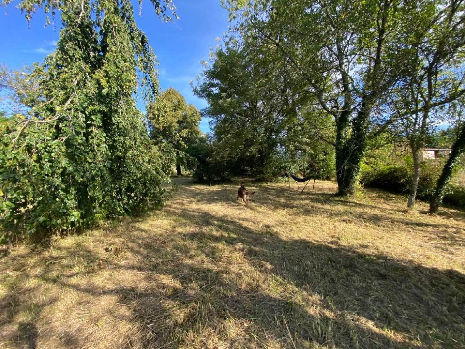  à vendre maison Orain Côte-d'Or 4