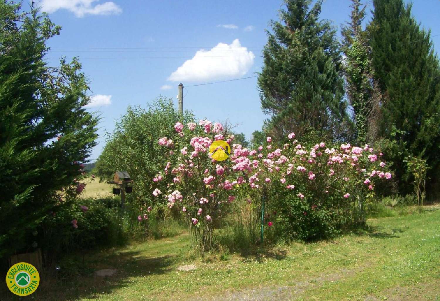  à vendre maison Orsennes Indre 5