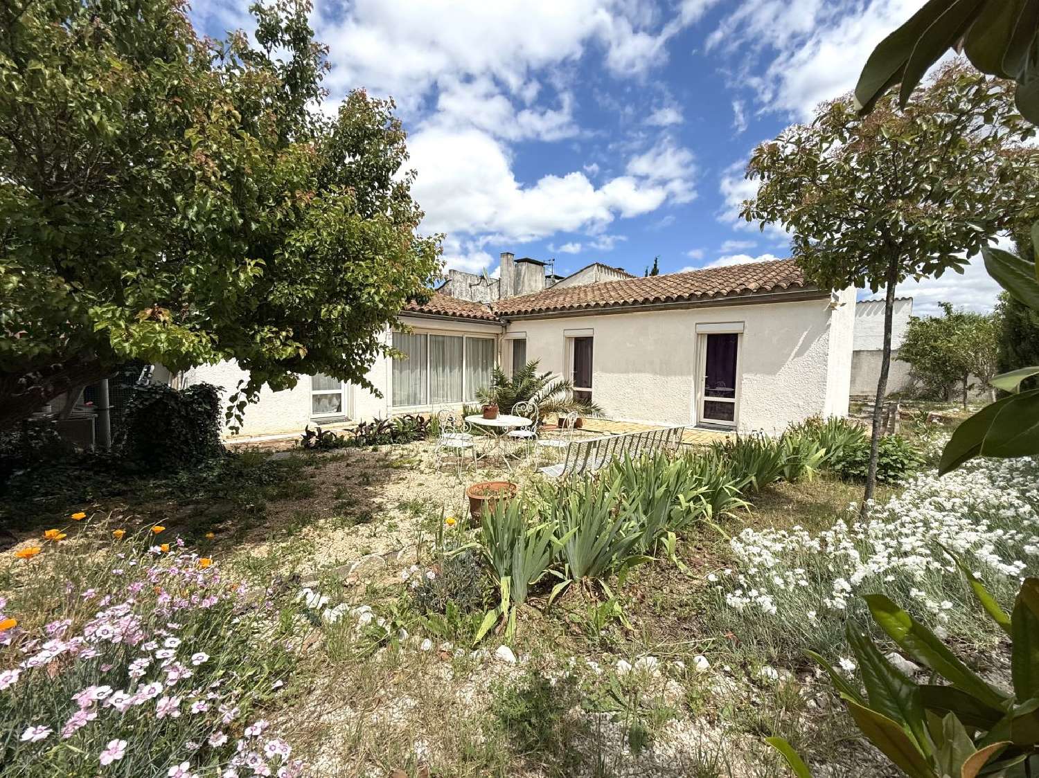 à vendre maison Palaja Aude 1