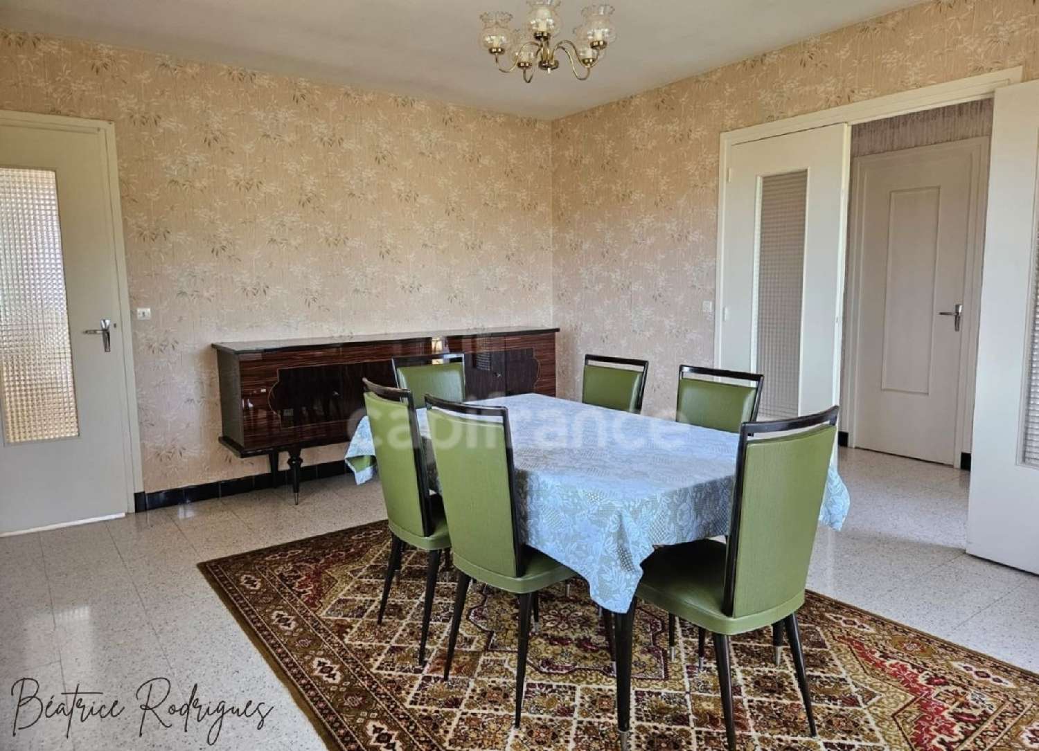 à vendre maison Panissières Loire 5
