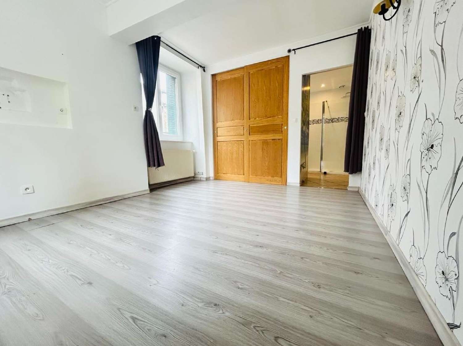 à vendre maison Panissières Loire 5